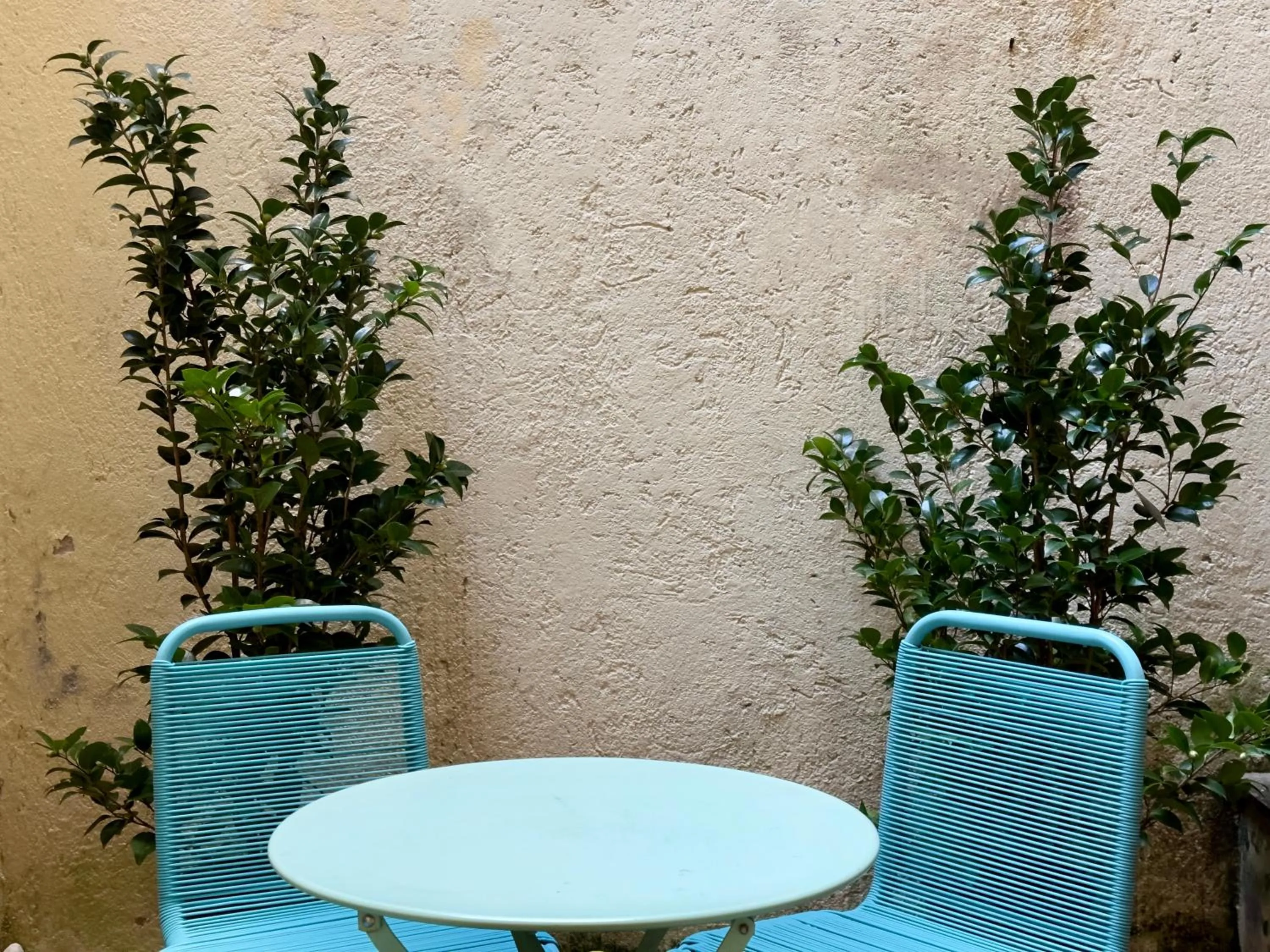 Garden view in B&B Santi Quattro Al Colosseo