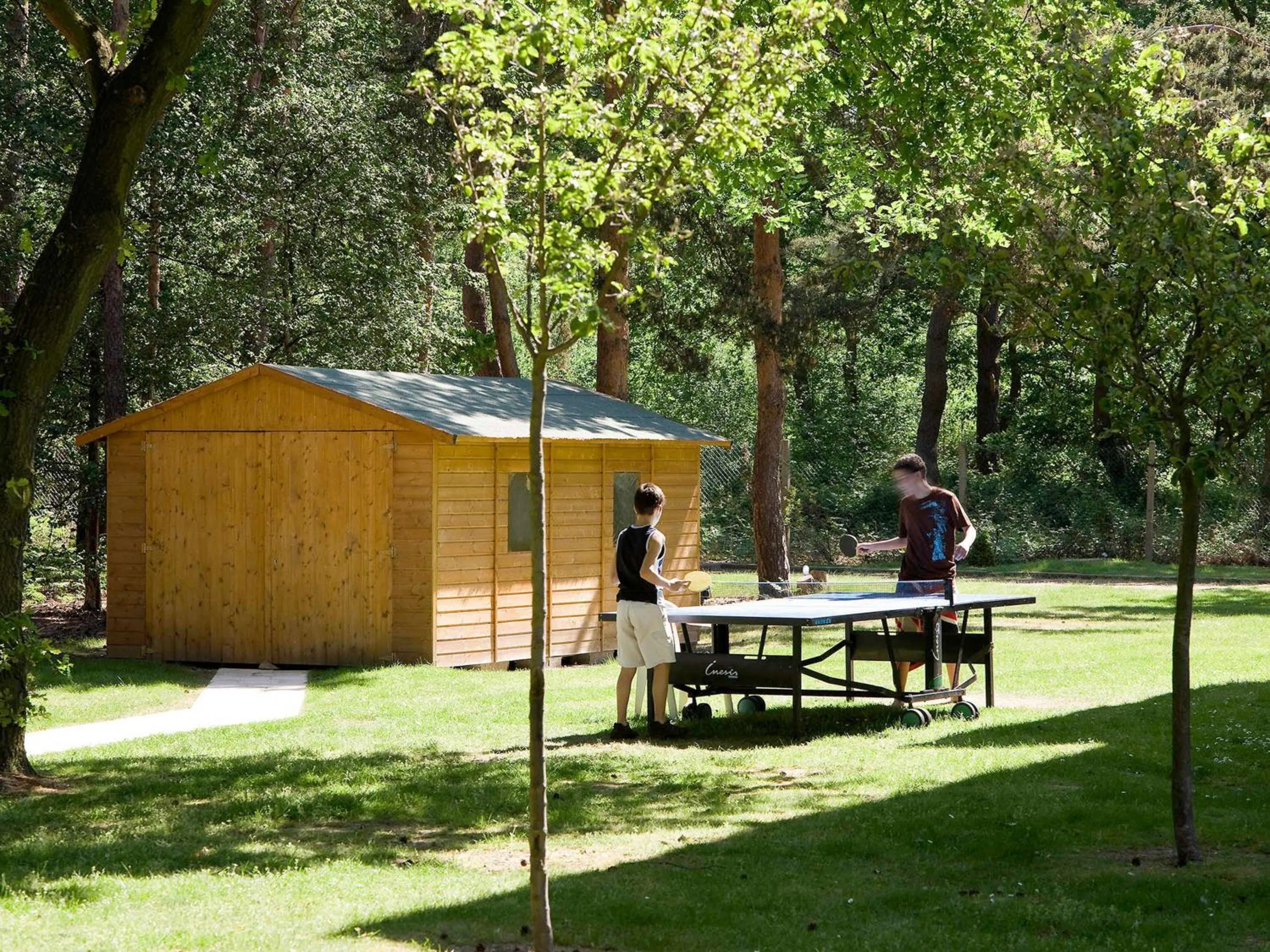 Garden in Novotel Rouen Sud