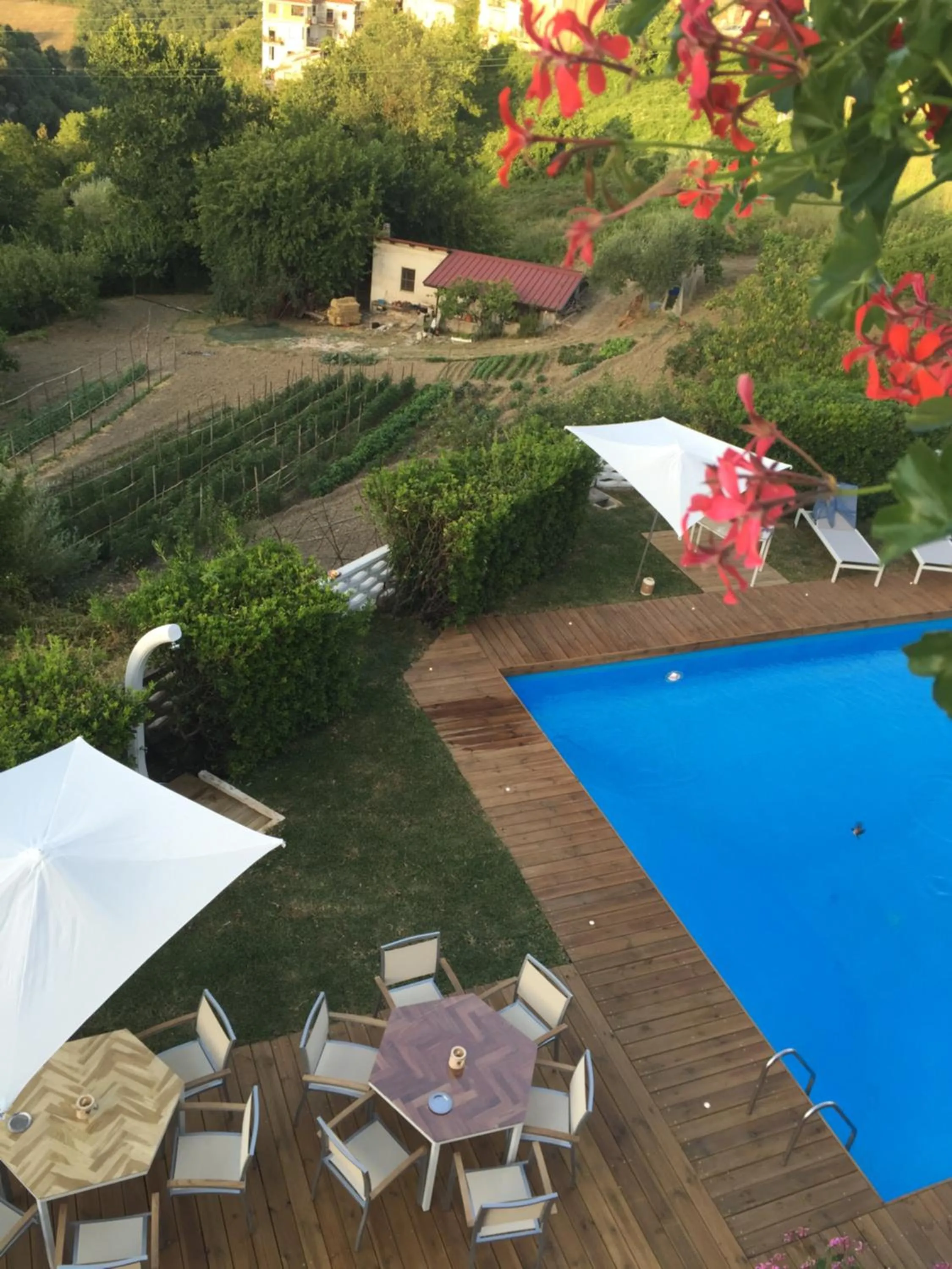 Pool view in Albergo Ristorante Cavaliere