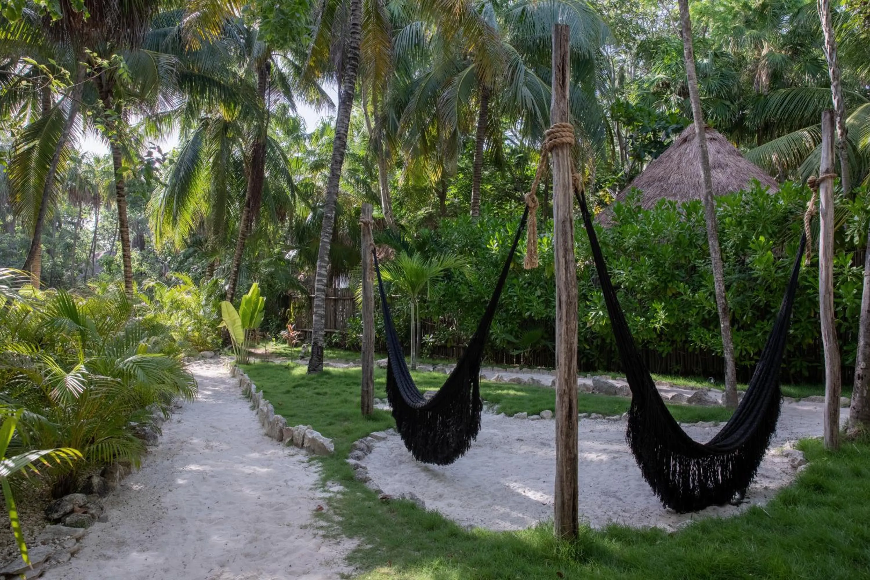 Garden in NEST Tulum