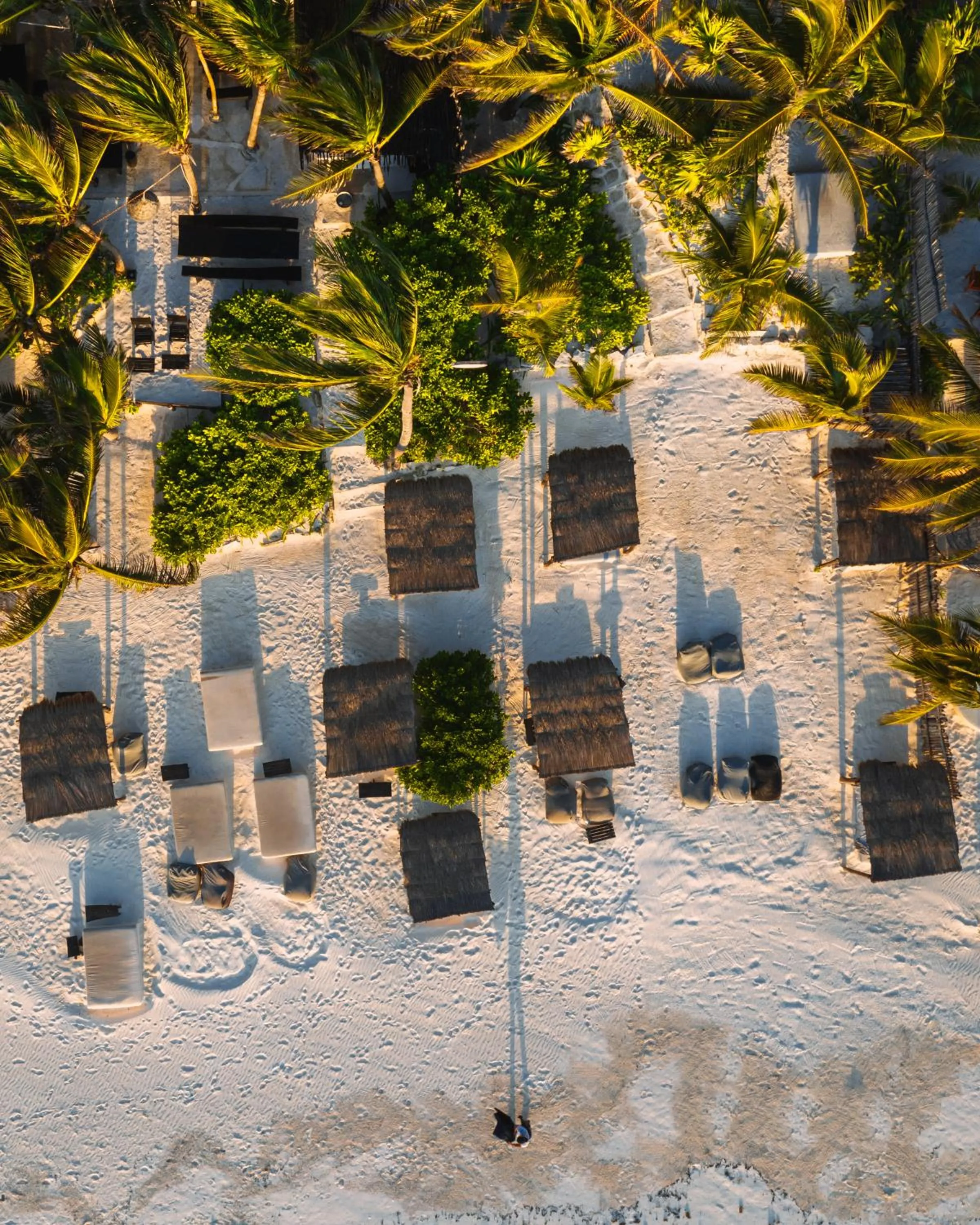 Bird's eye view in NEST Tulum