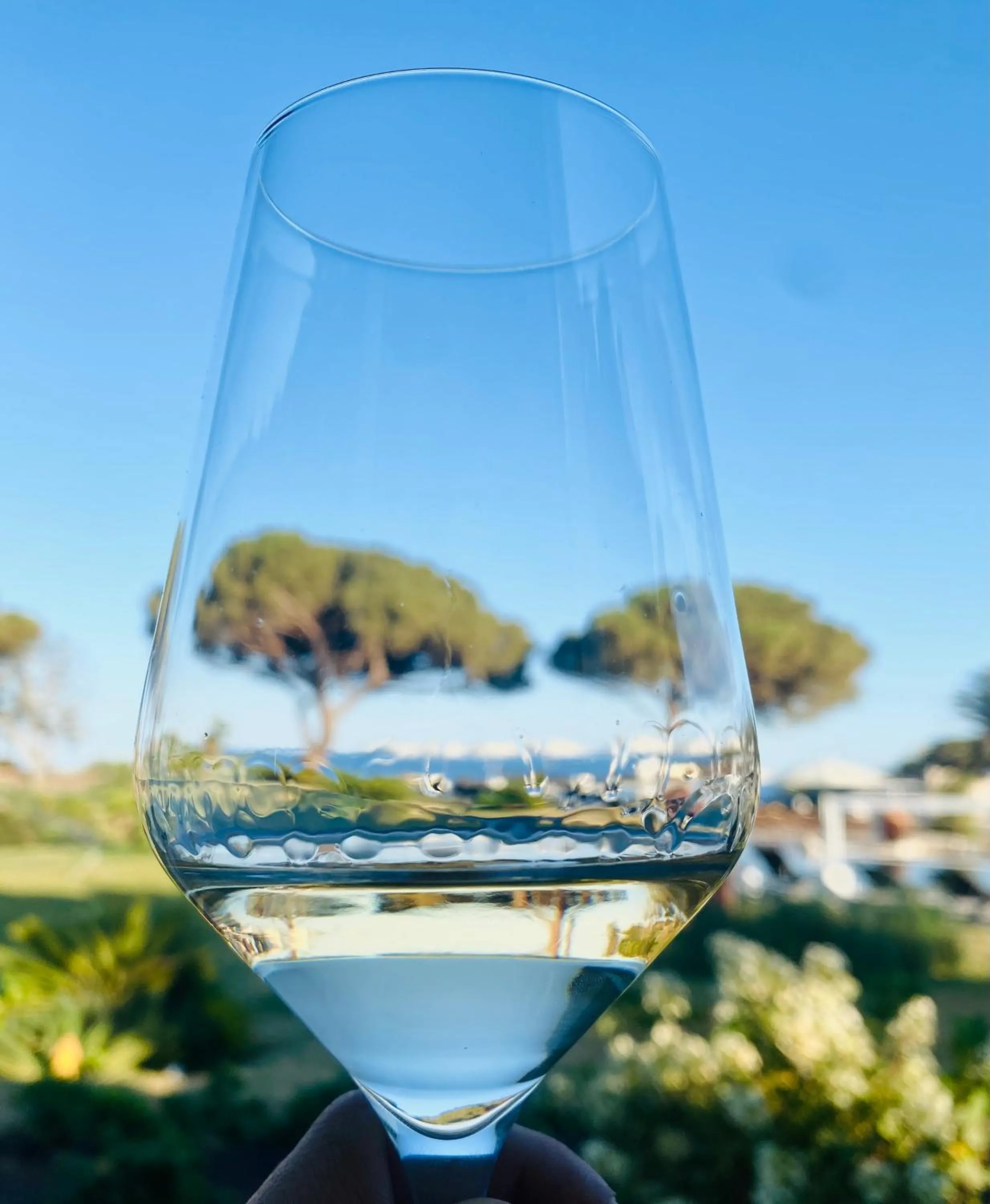 Garden view in Resort Capo Bianco