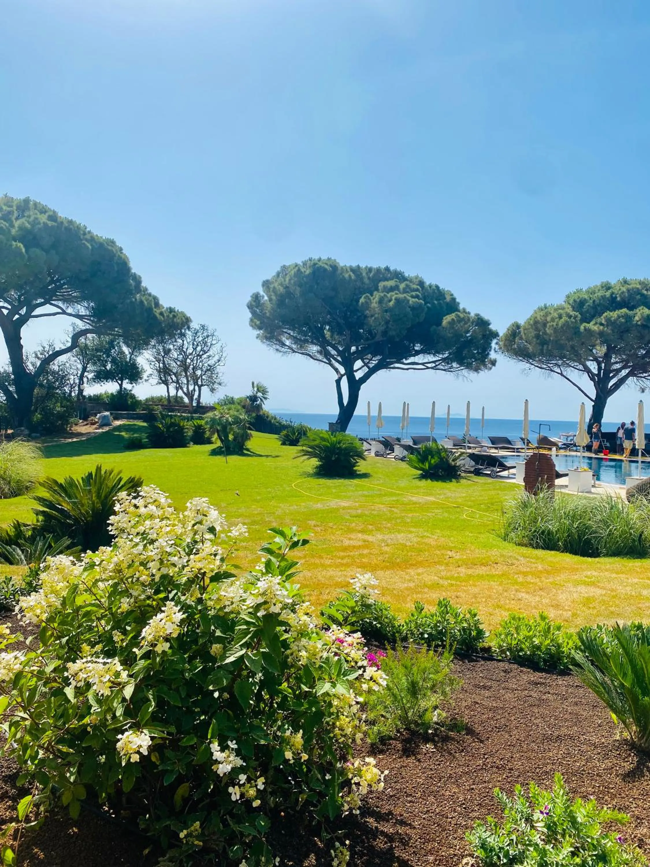 Garden in Resort Capo Bianco
