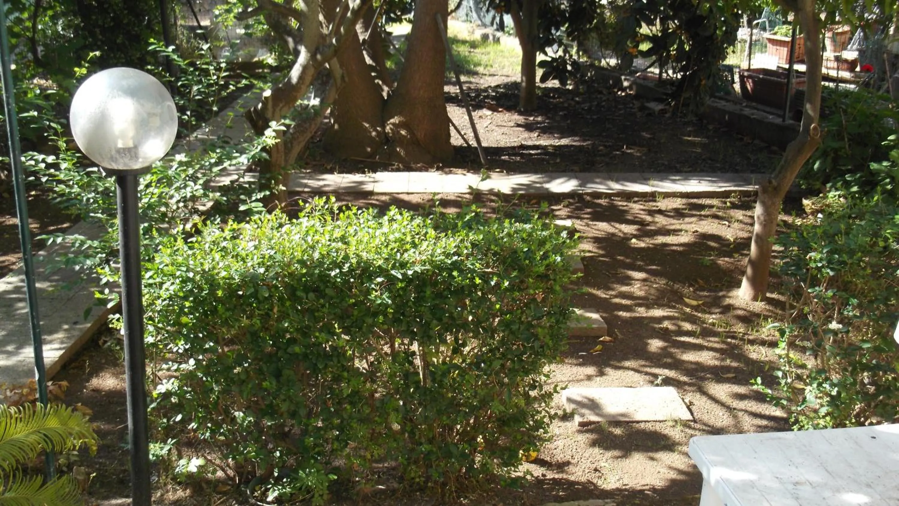 Garden in Solimarina