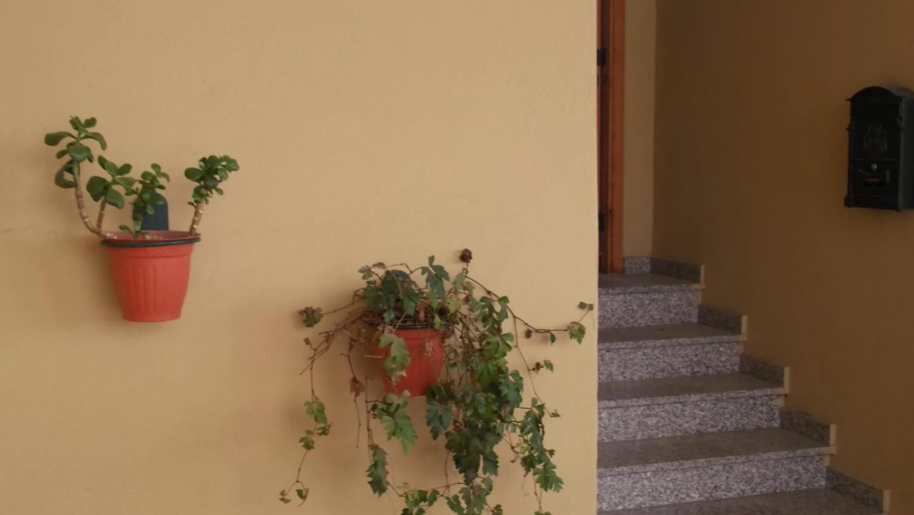 Facade/entrance in Solimarina