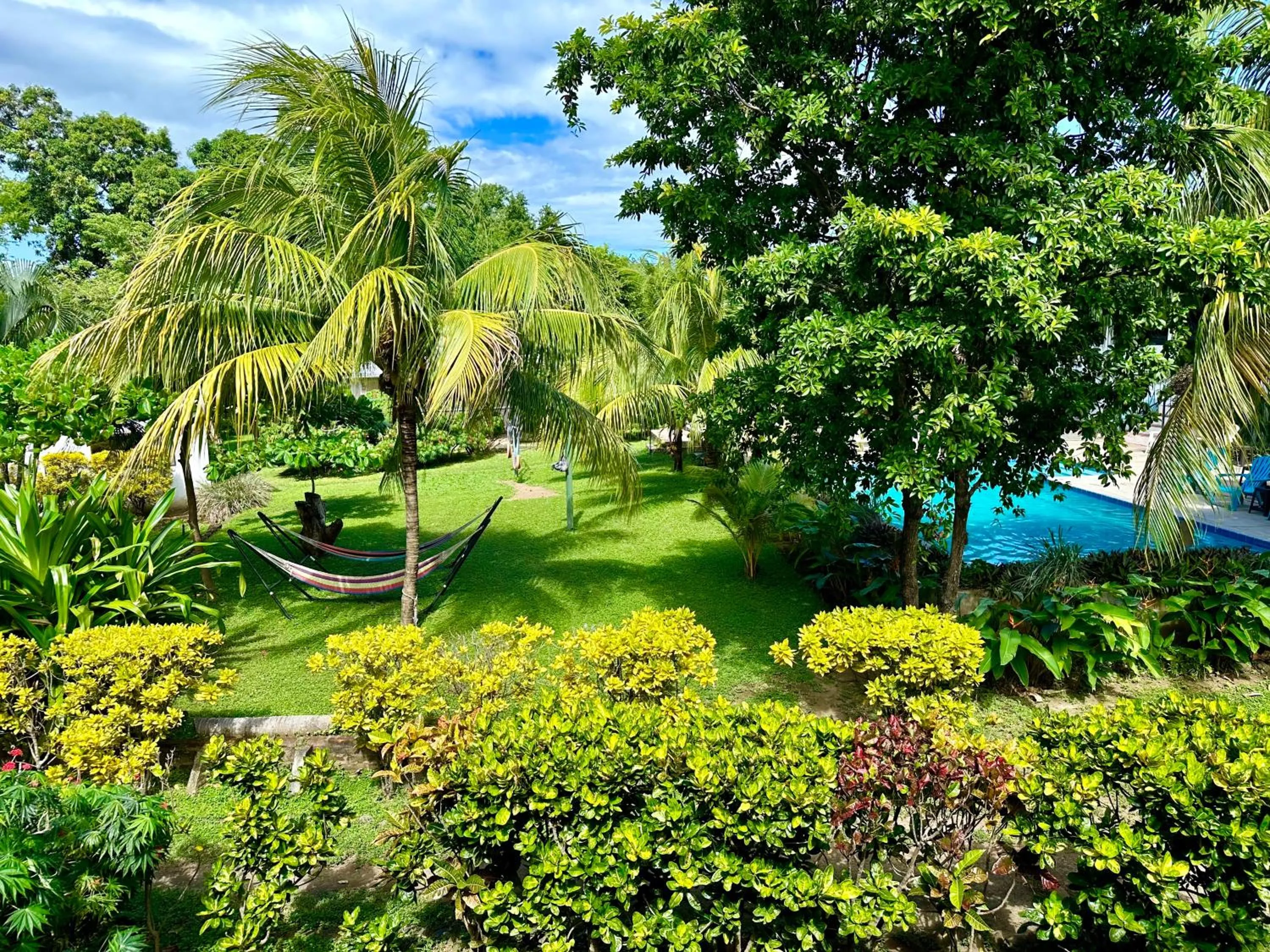 Garden in Hospedaje Soma