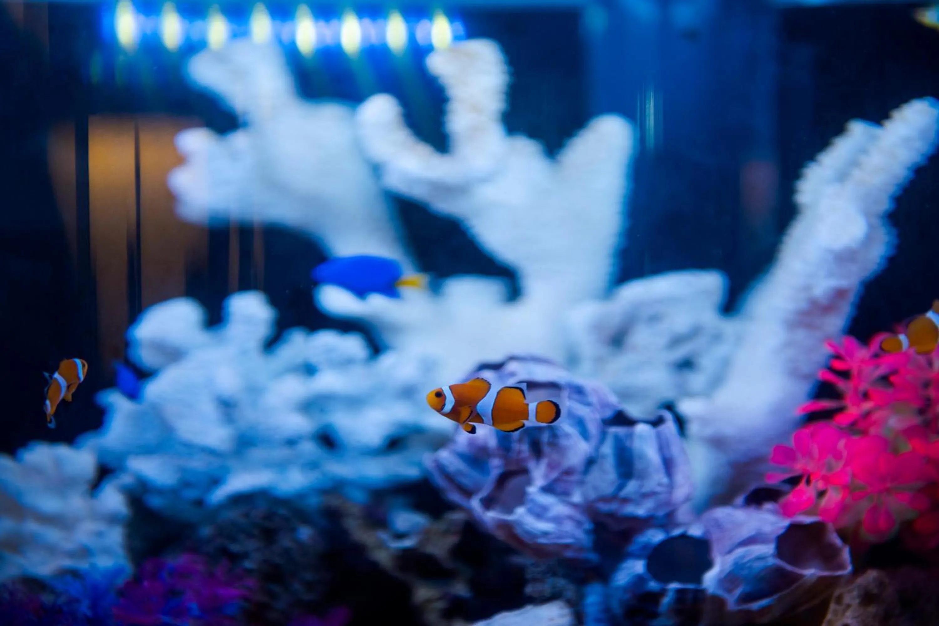 Lobby or reception in Best Western Plus Fukuoka Tenjin-minami