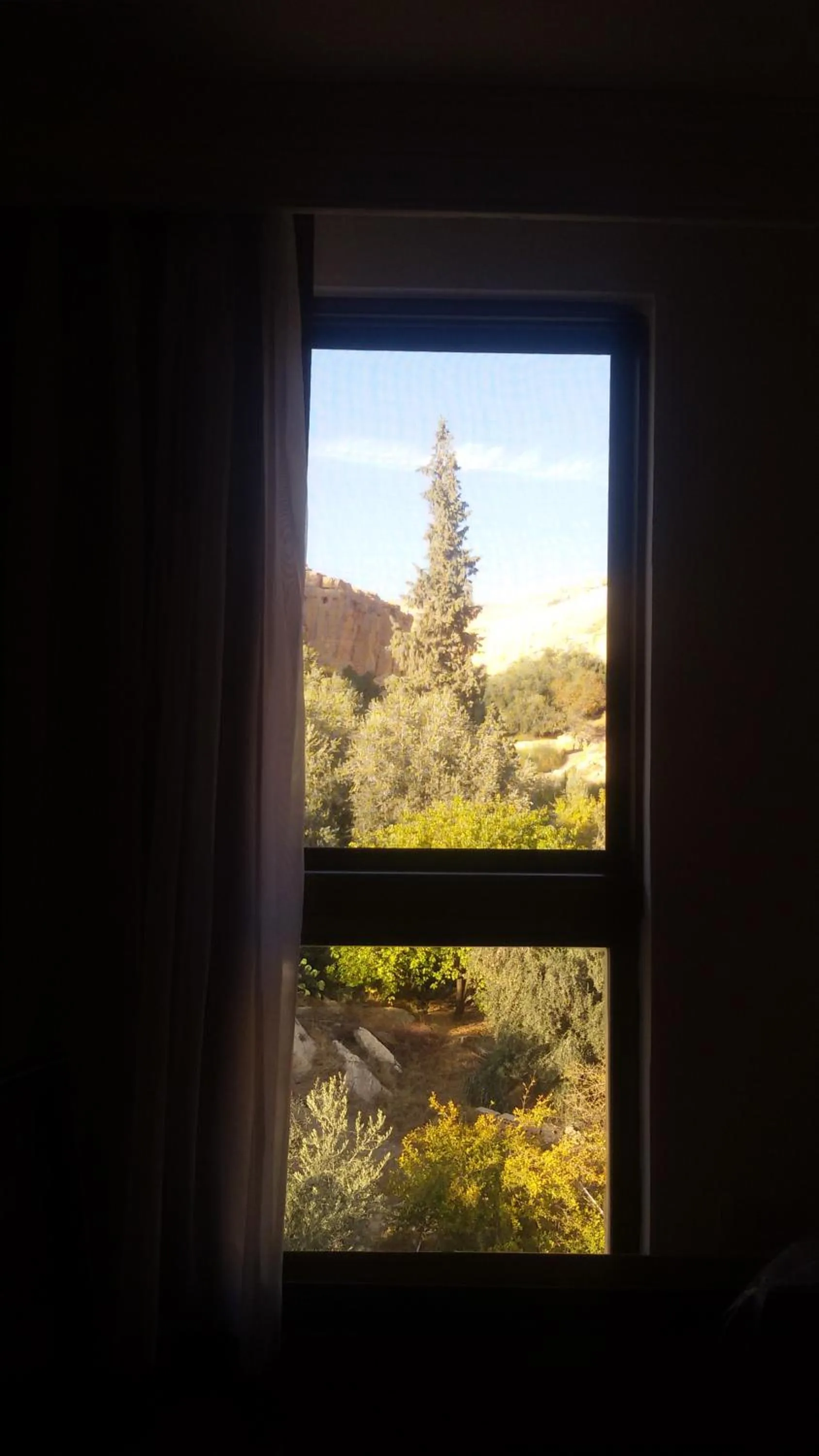 Garden view in Petra Corner Hotel