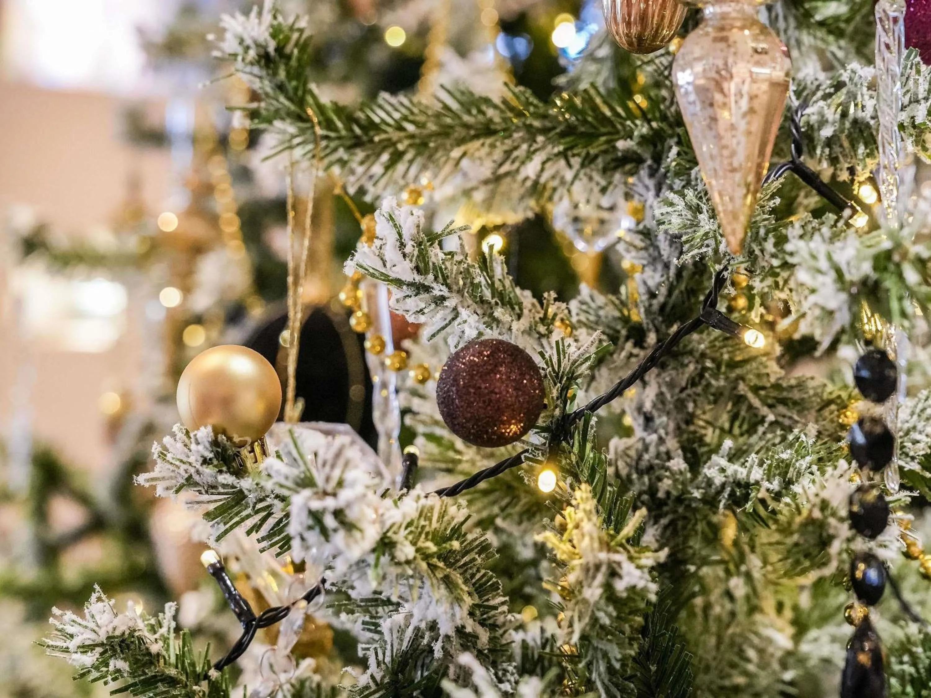 Other in Sofitel Biarritz Le Miramar Thalassa