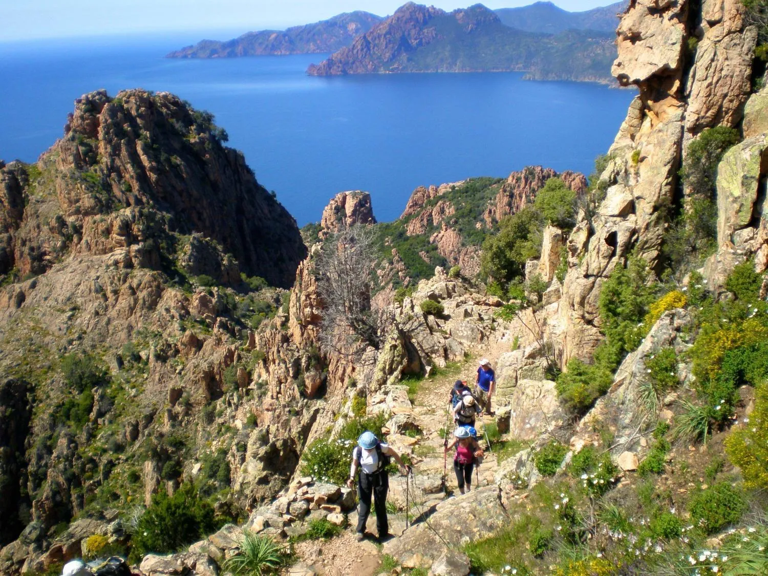 Hiking in Sofitel Golfe d'Ajaccio Thalassa Sea & Spa