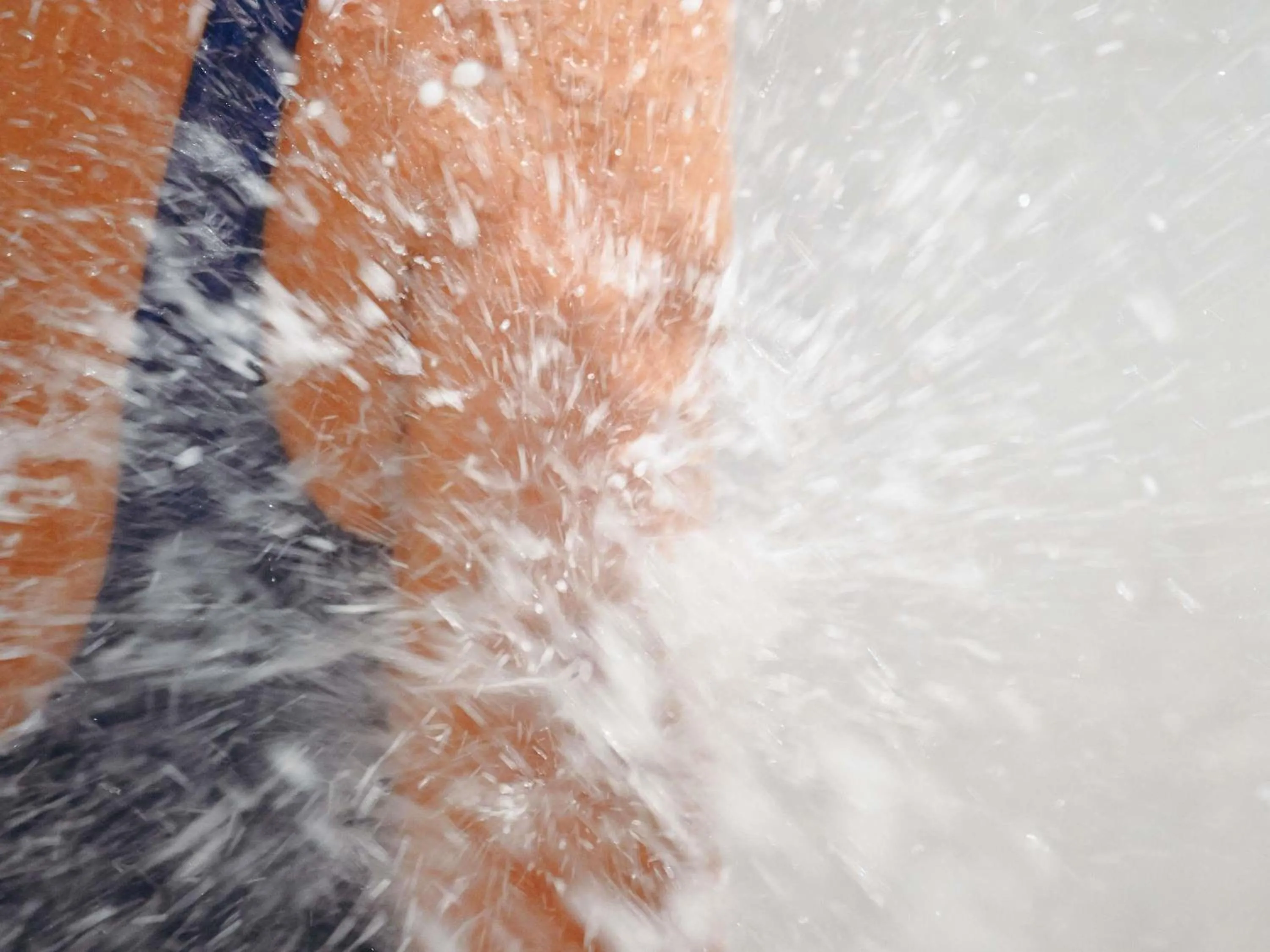 Spa and wellness centre/facilities in Sofitel Golfe d'Ajaccio Thalassa Sea & Spa