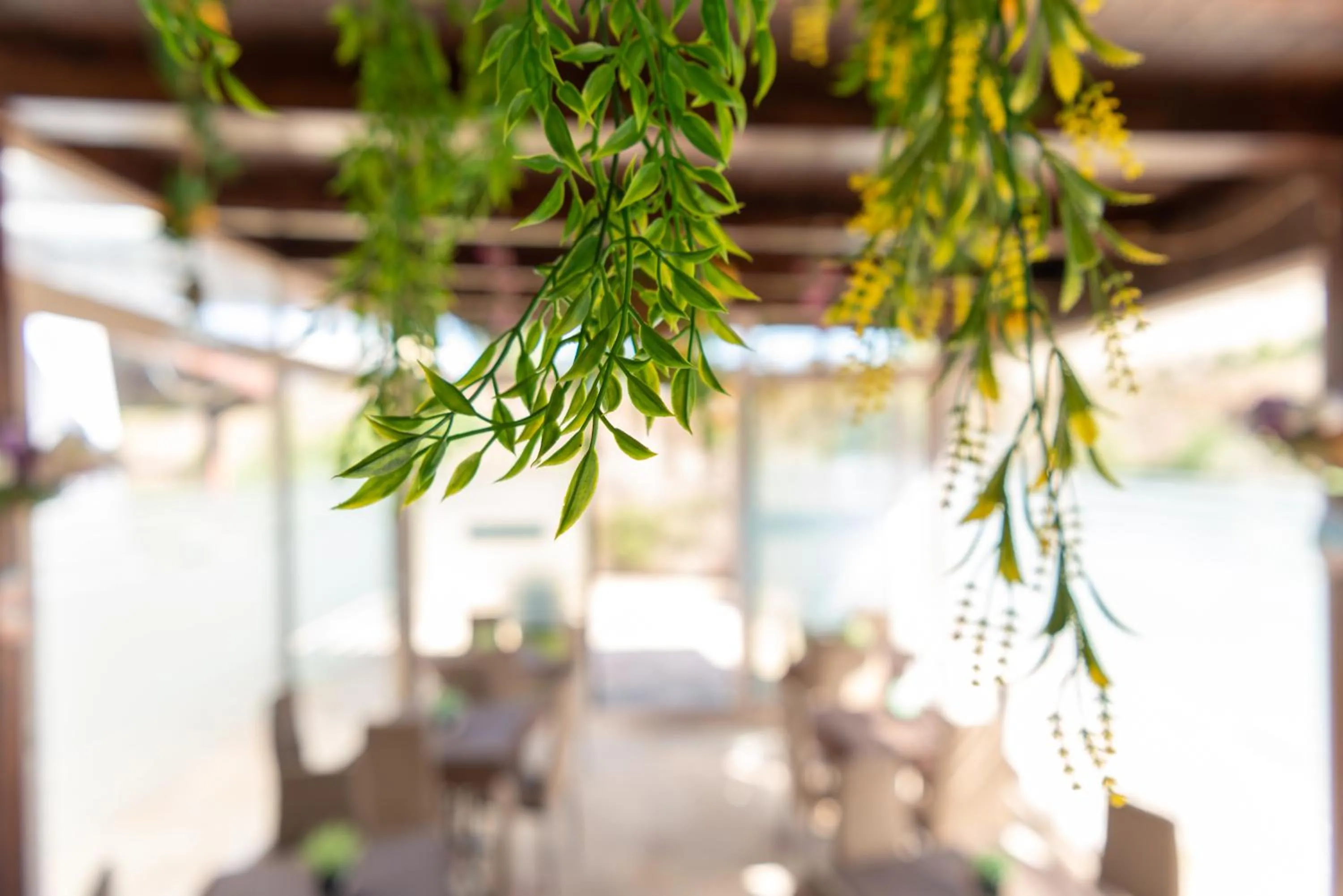 Restaurant/places to eat in B&B Tenuta Barone