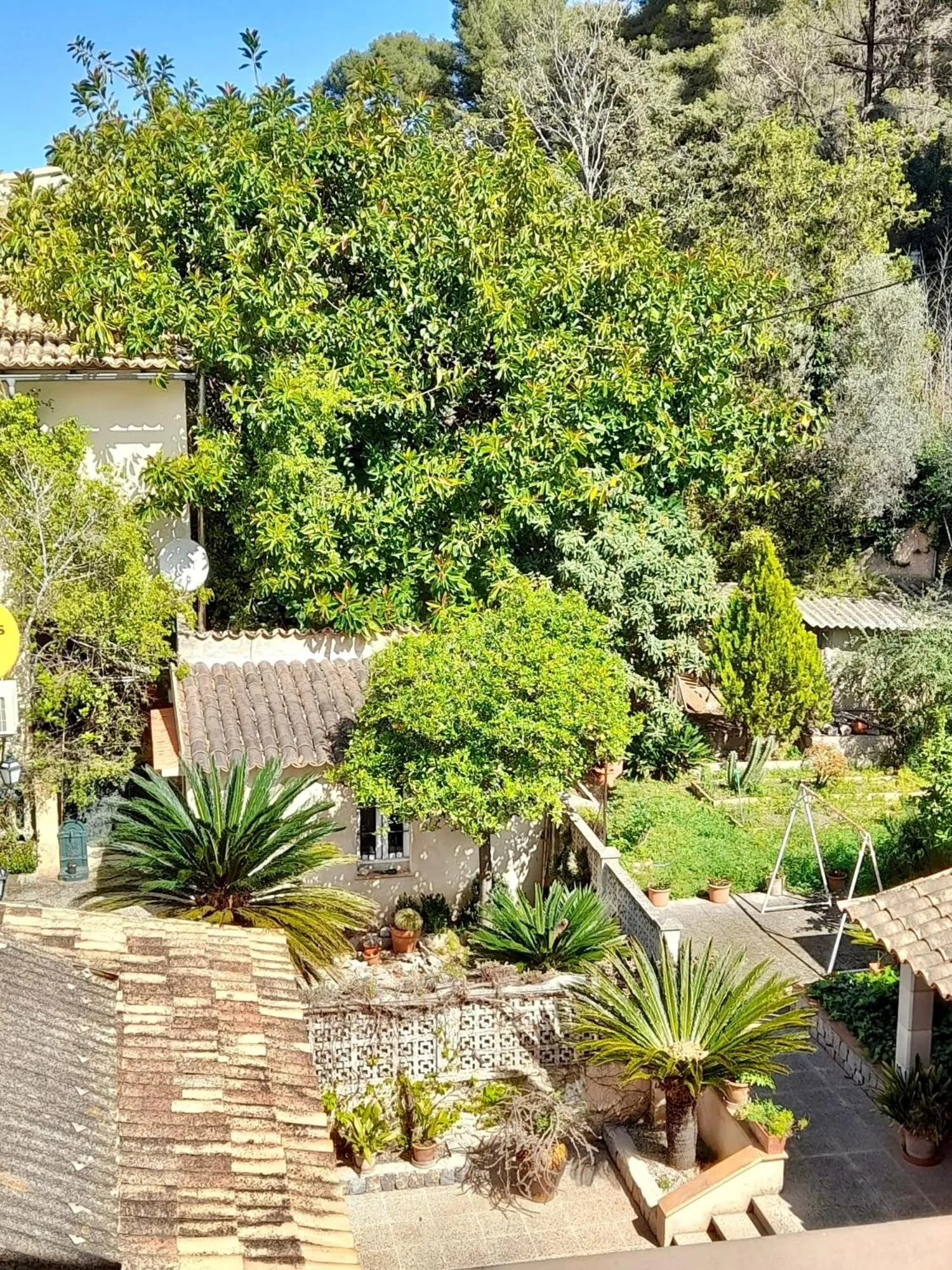 Garden view in Sol Port Soller