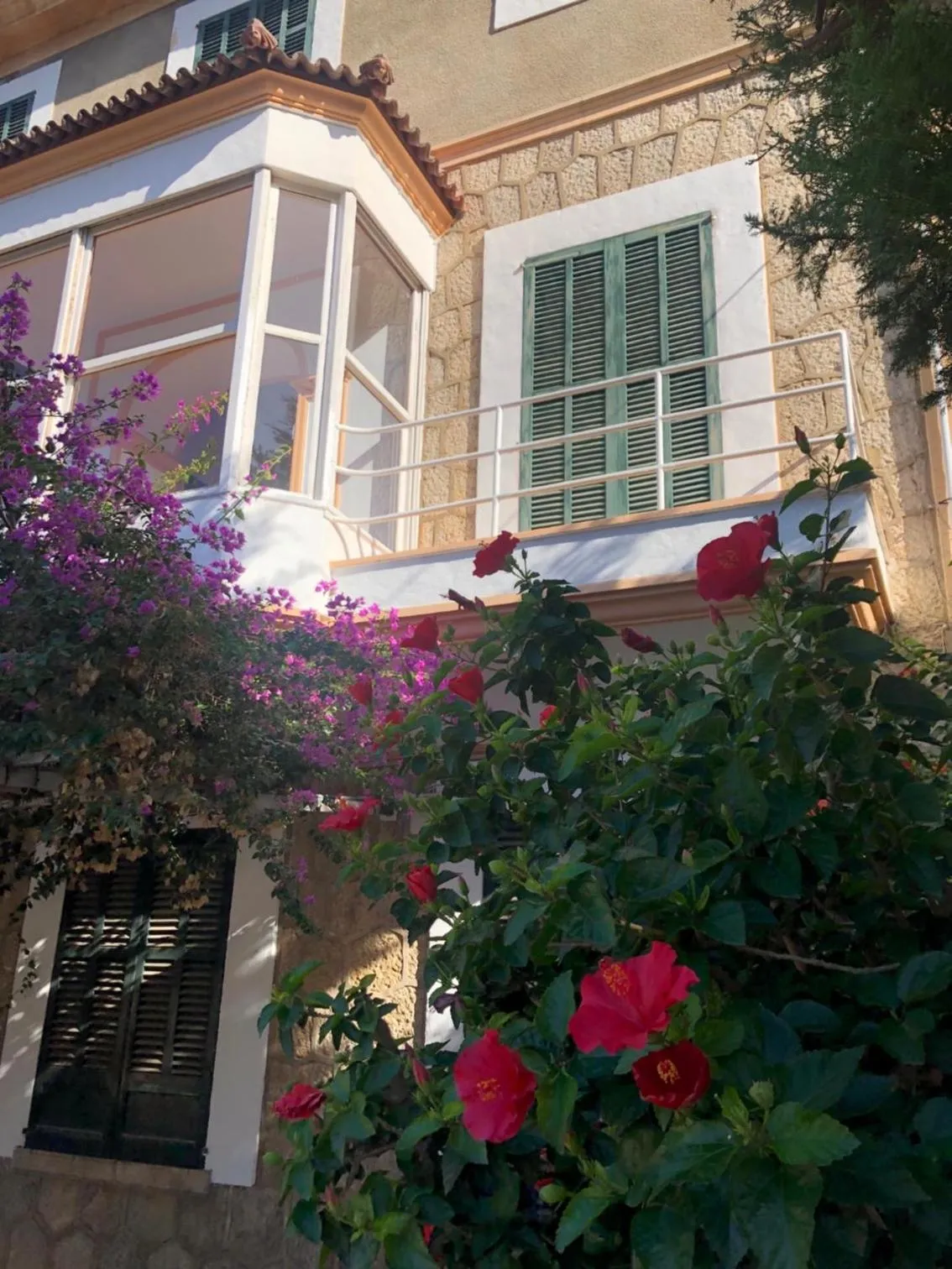 Property building in Sol Port Soller