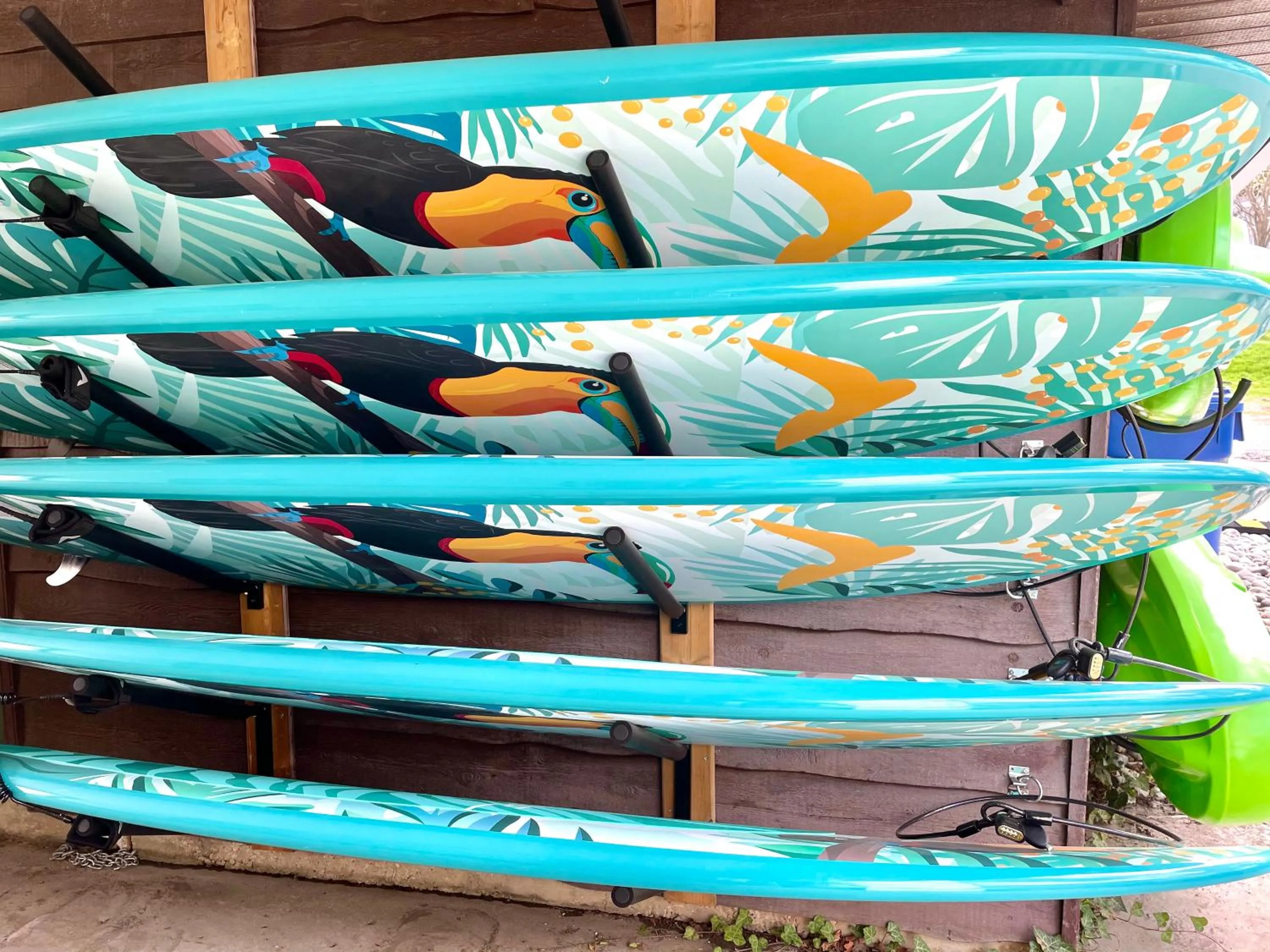 Activities, Bed in Paradise Inn On the Beach