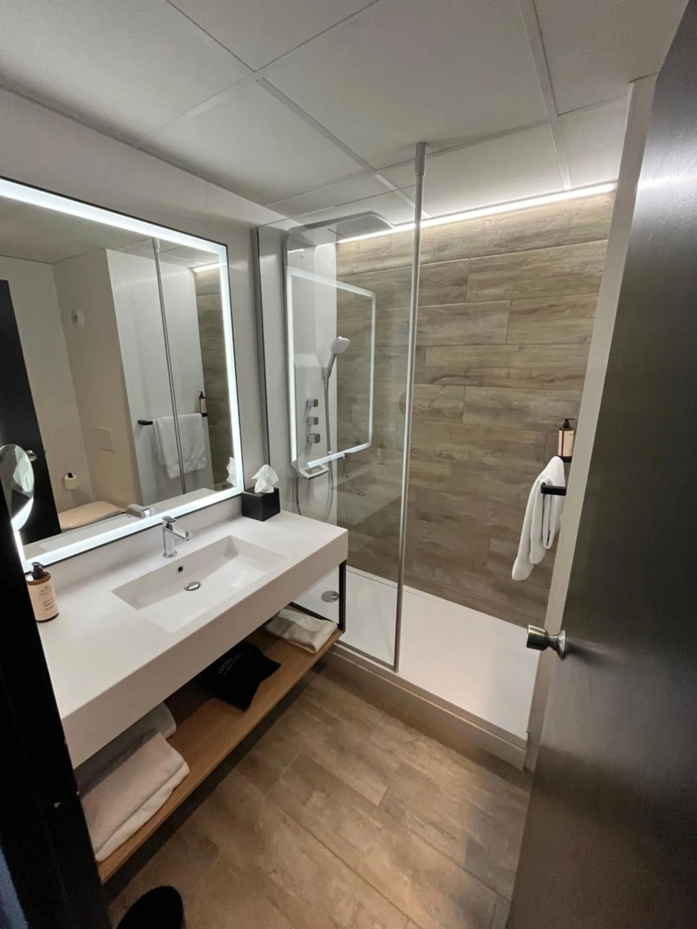 Shower in Mercure Epinal Centre