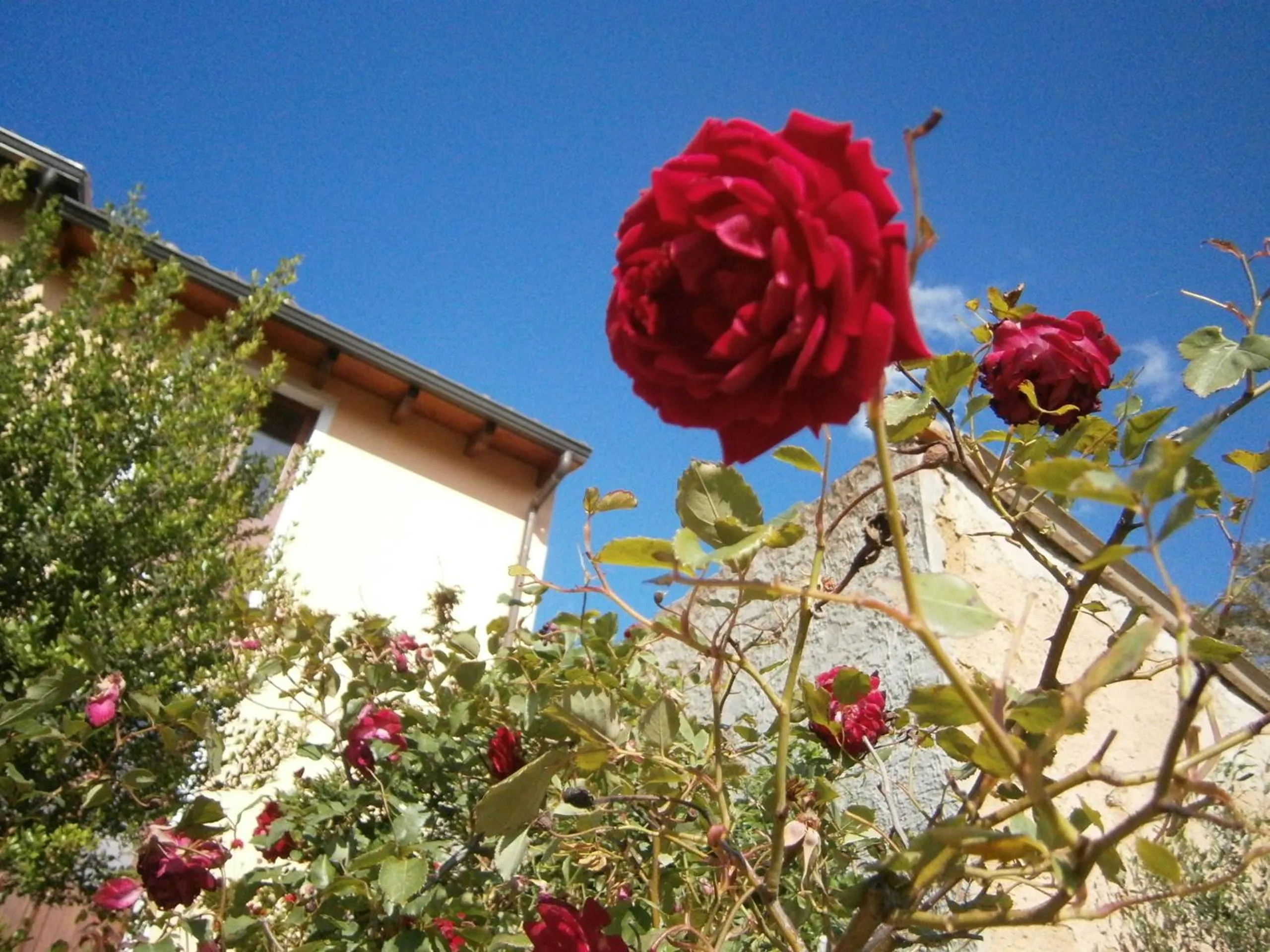 Property building in B&B S'ARROSA ANTIGA