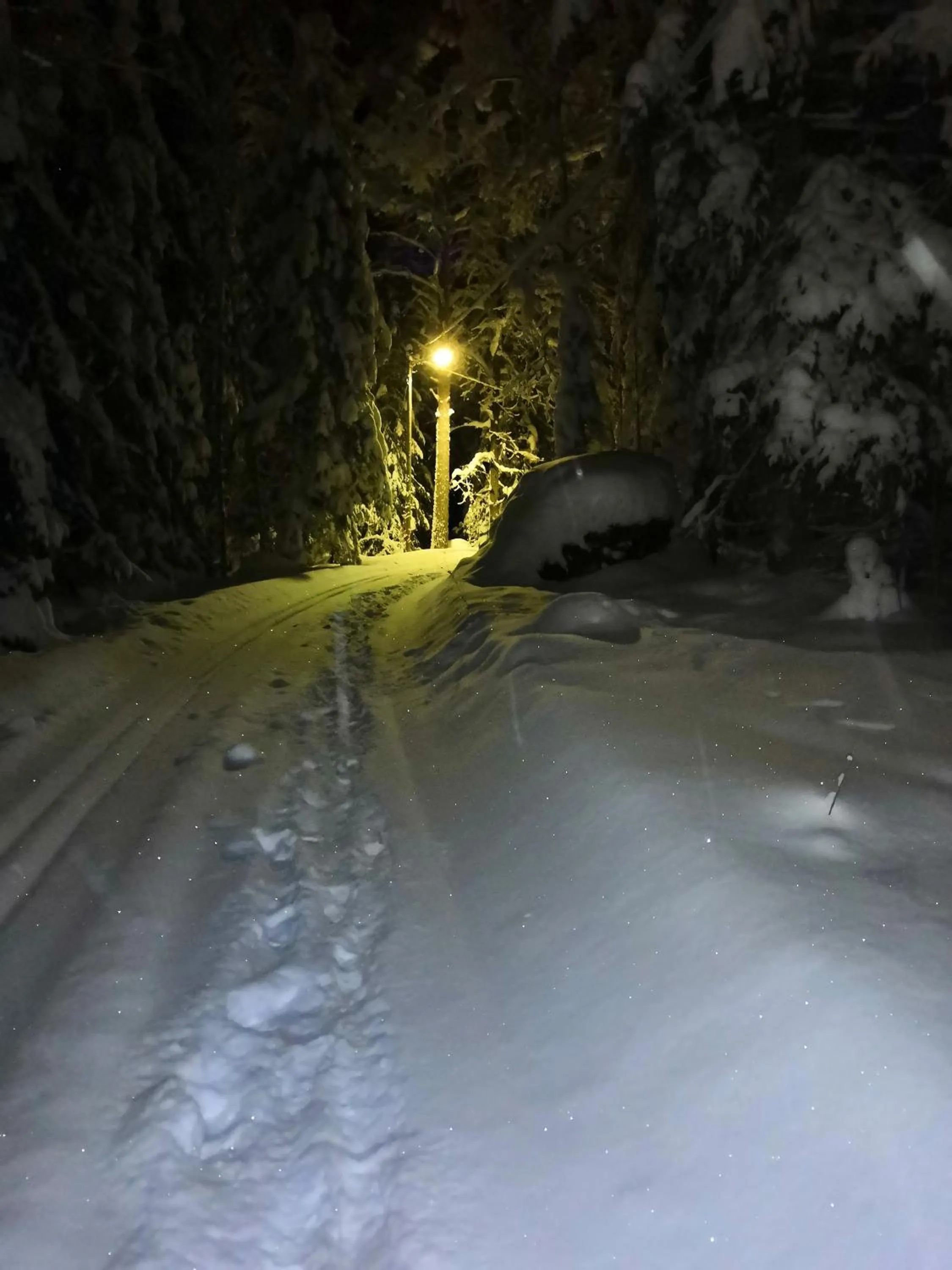 Skiing in Immalanjärvi