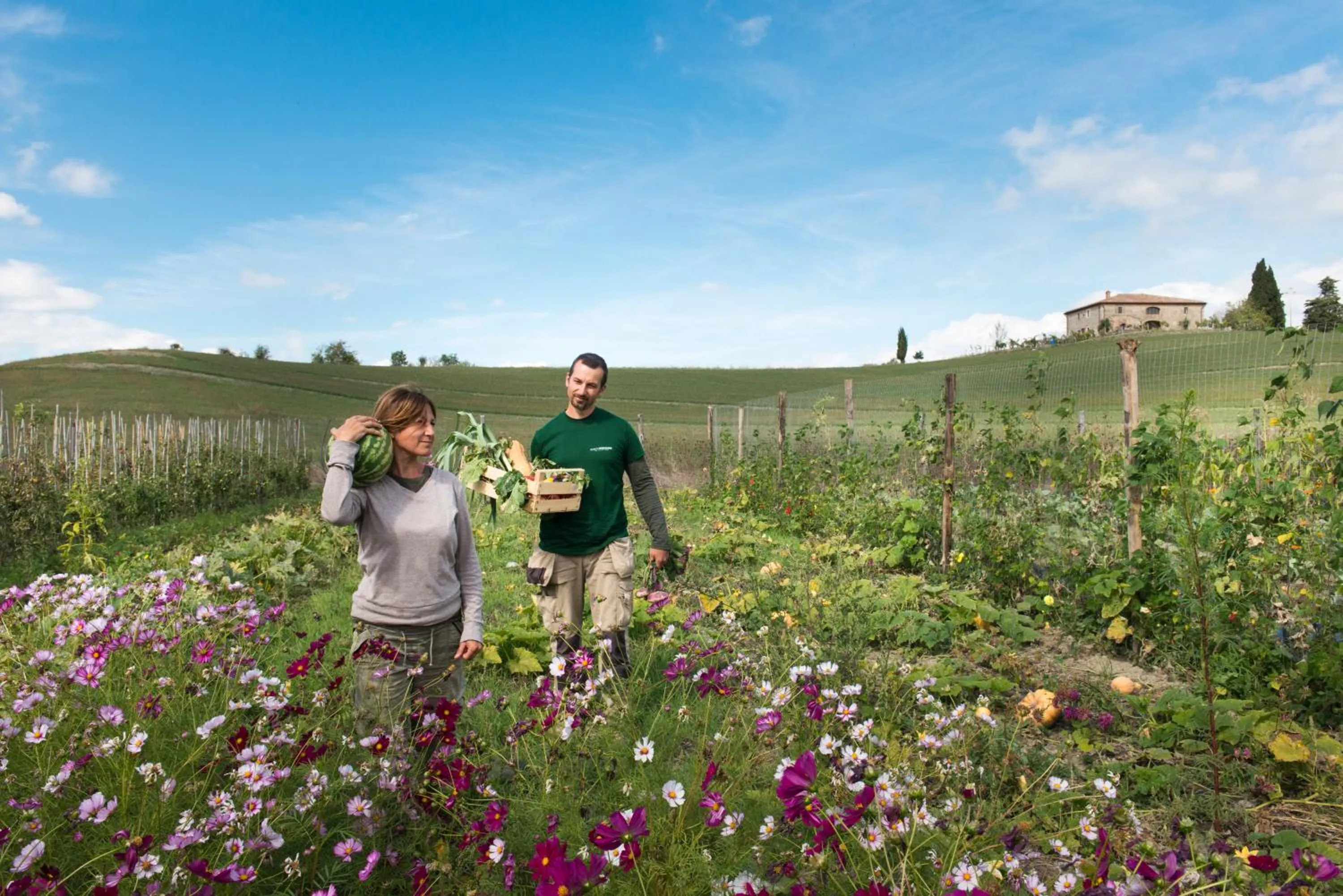 Activities in Borgo Pignano Volterra Tuscany