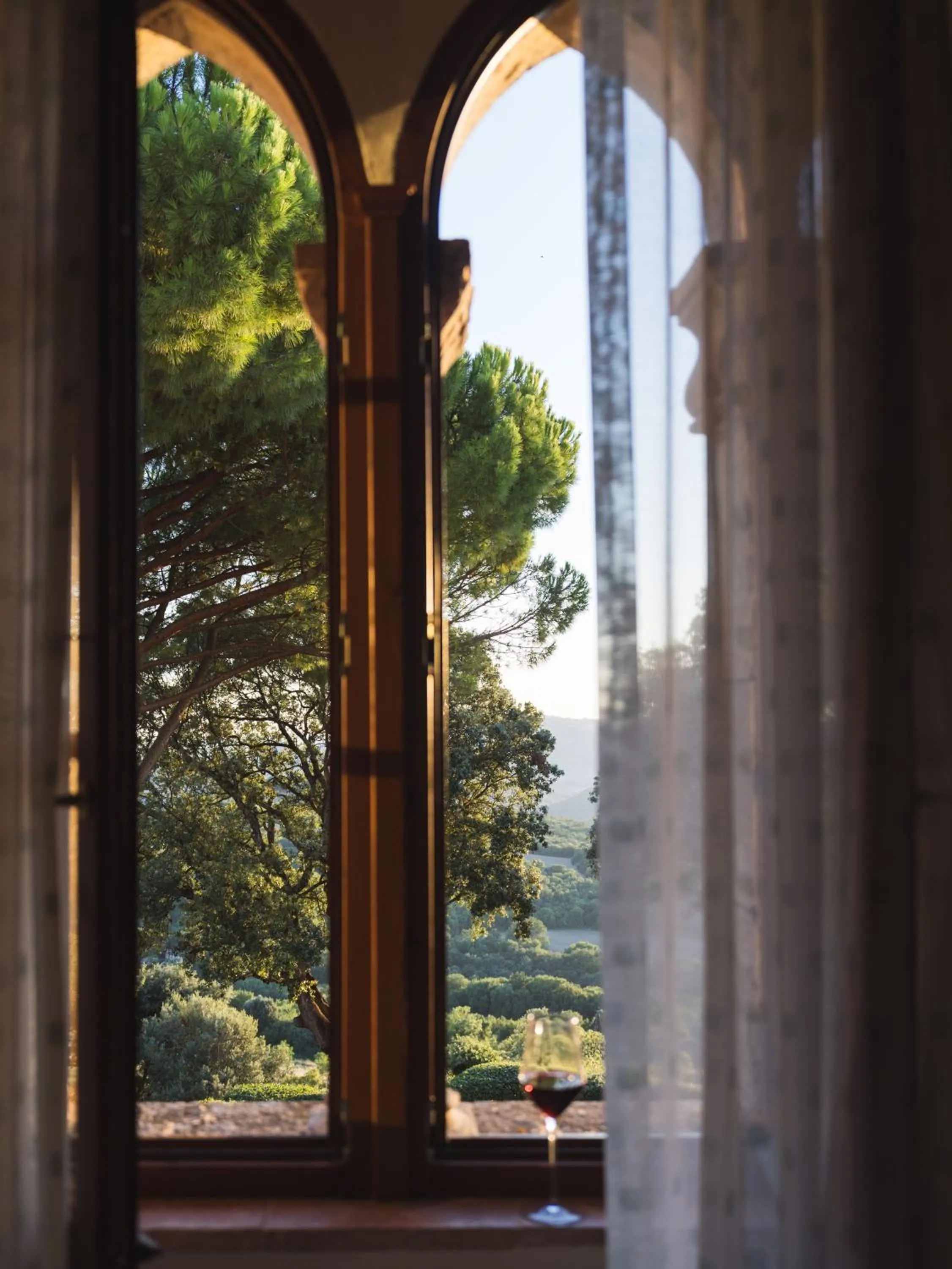 View (from property/room) in Borgo Pignano Volterra Tuscany