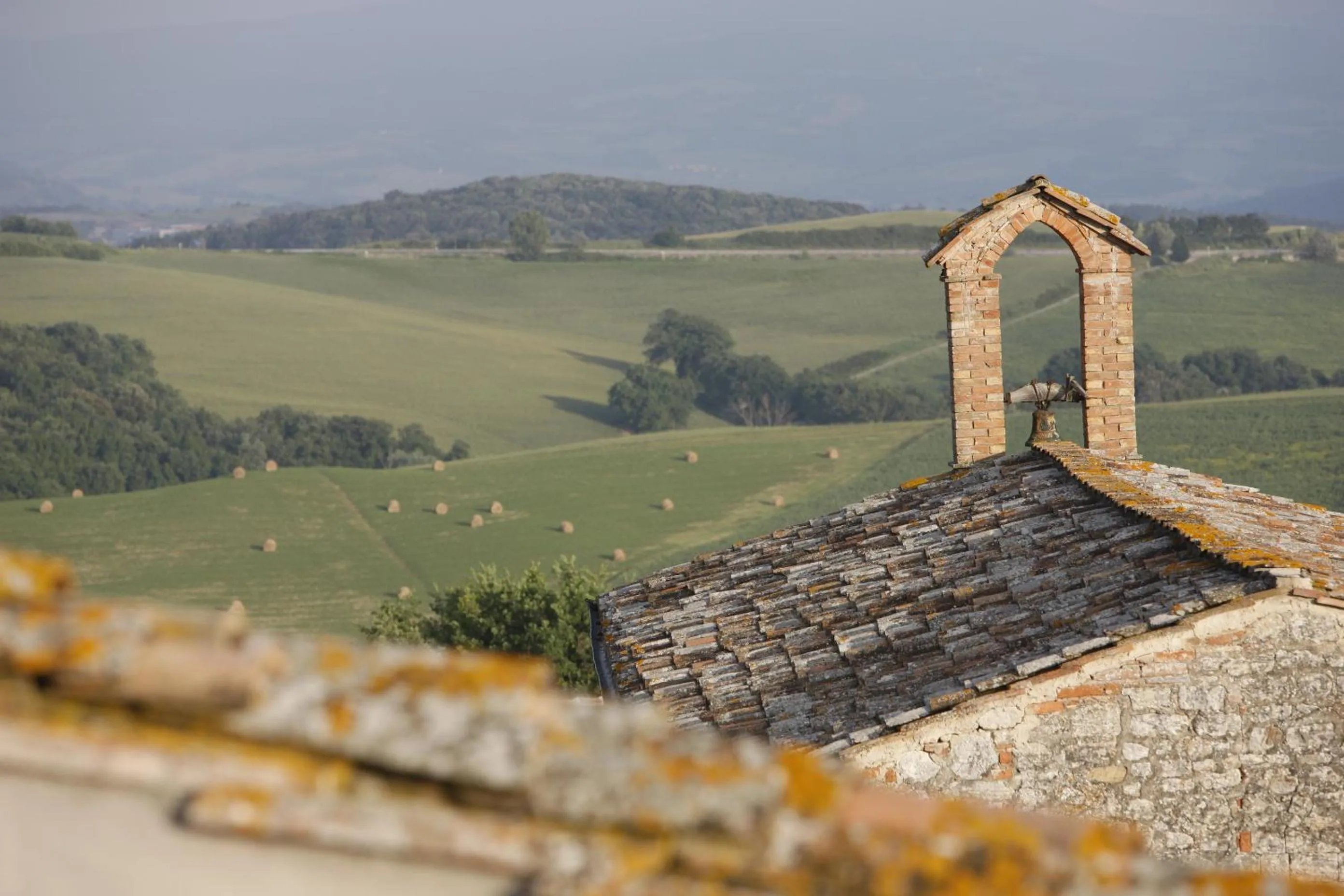 View (from property/room) in Borgo Pignano Volterra Tuscany