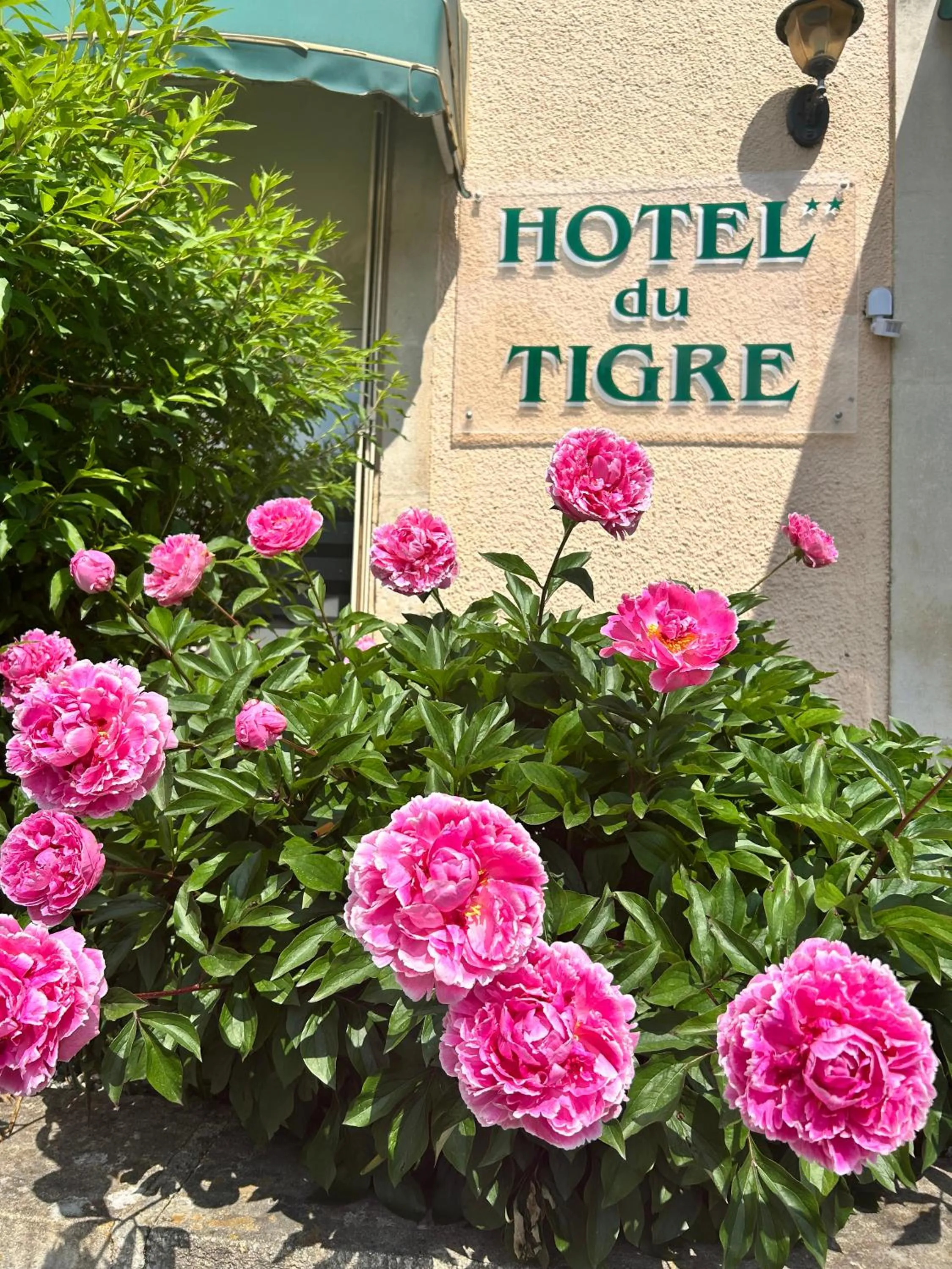 Spring in Cit'Hotel du Tigre