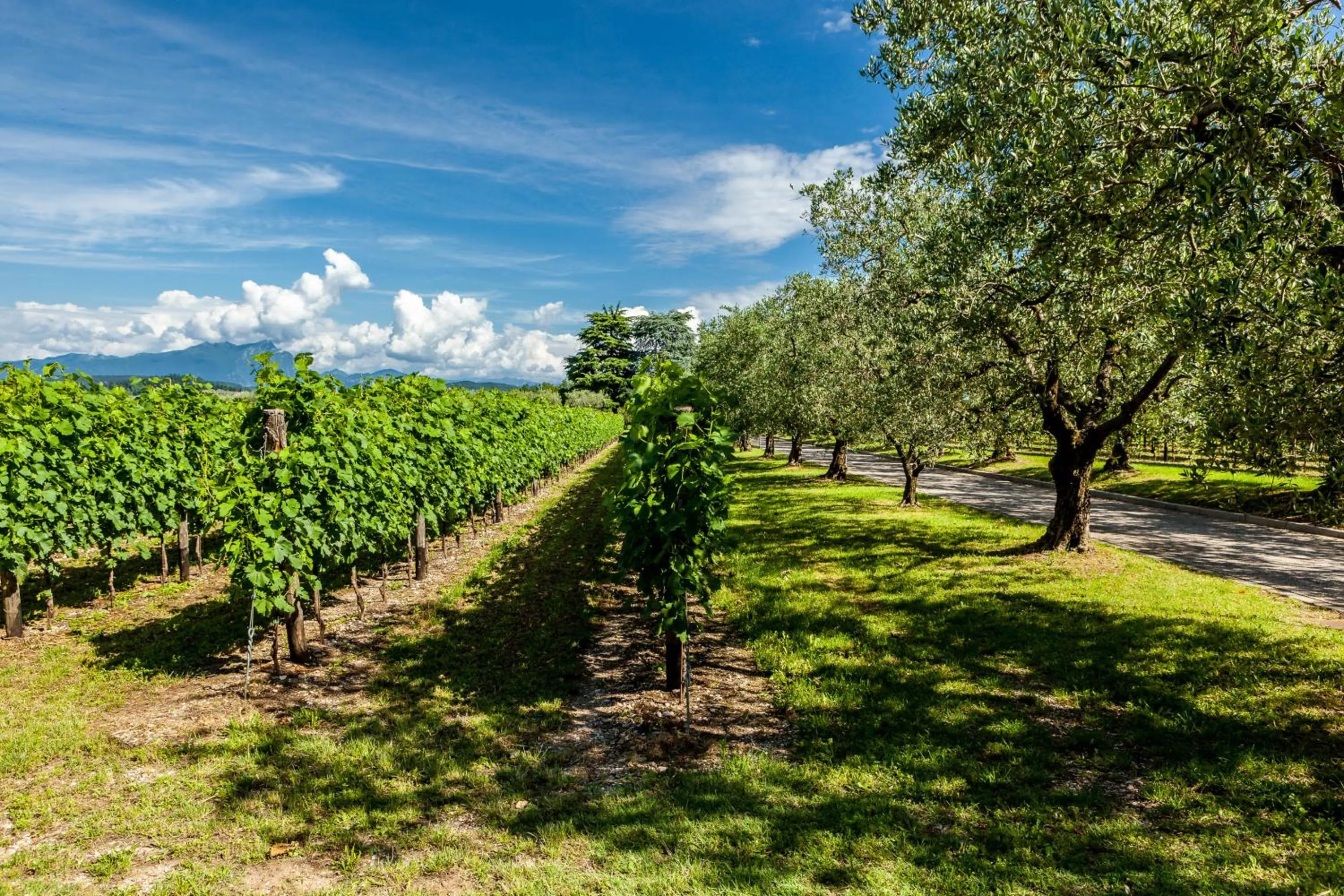 Day in Quercia Belvedere Relais