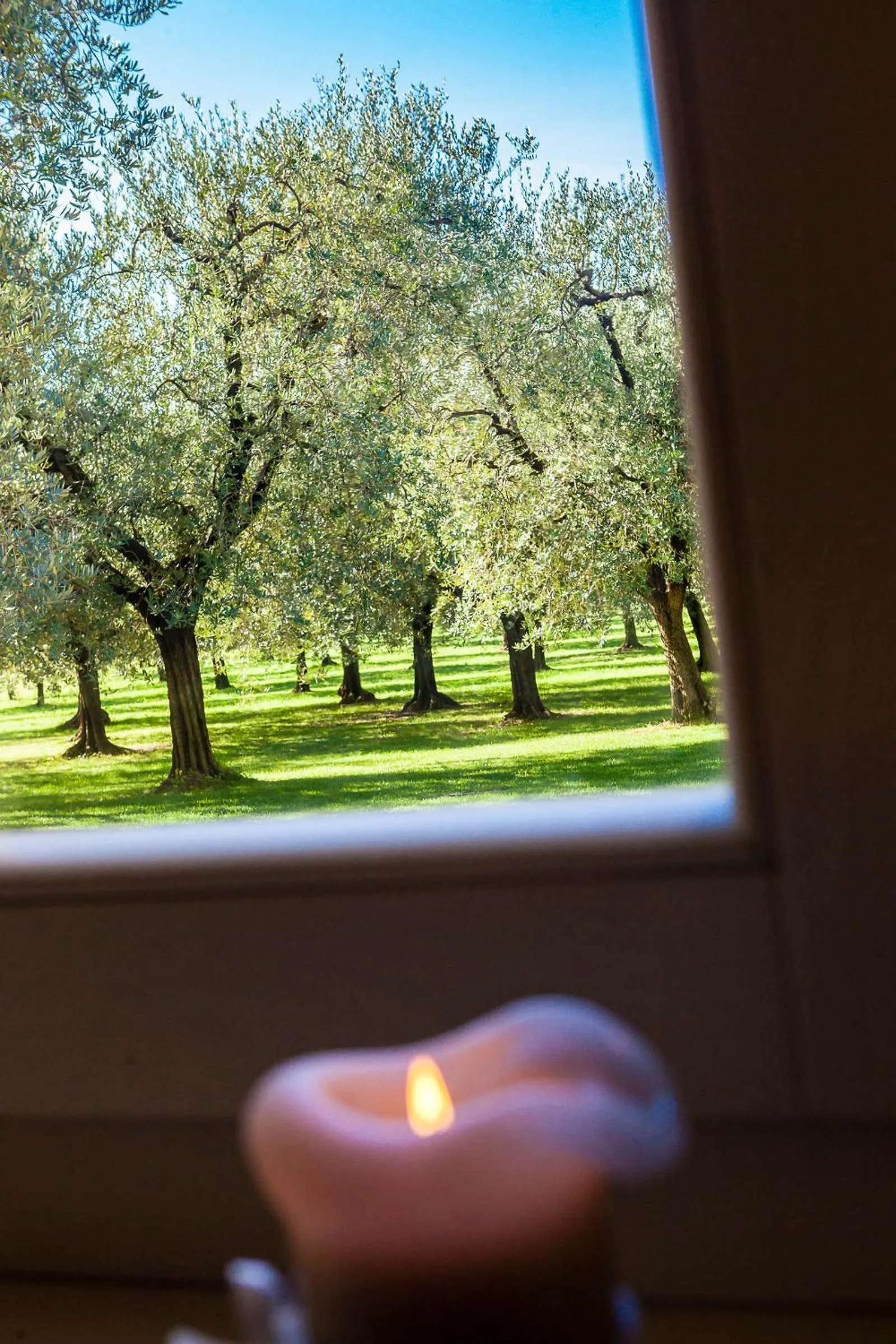 Day in Quercia Belvedere Relais