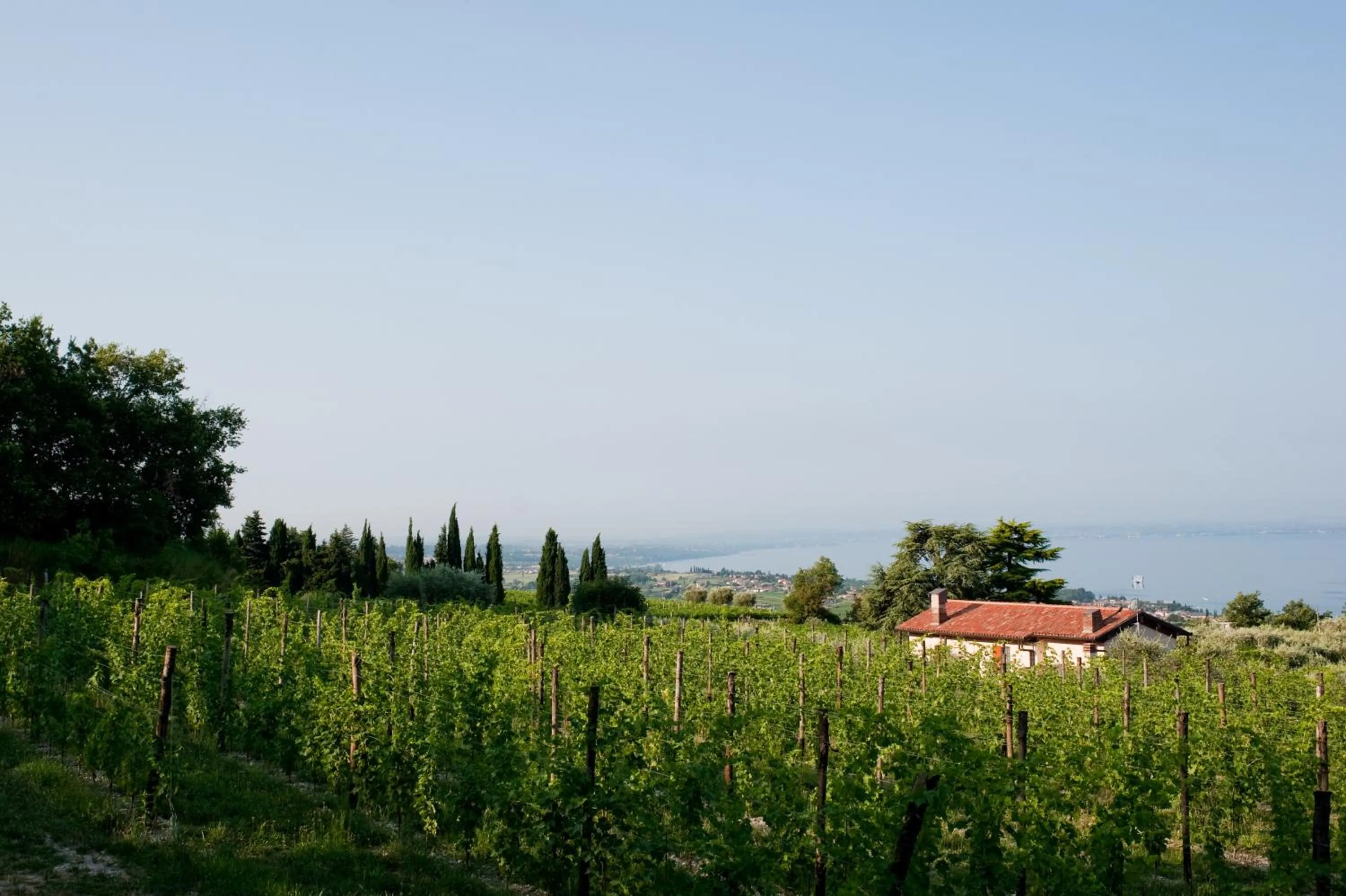 Facade/entrance in Quercia Belvedere Relais