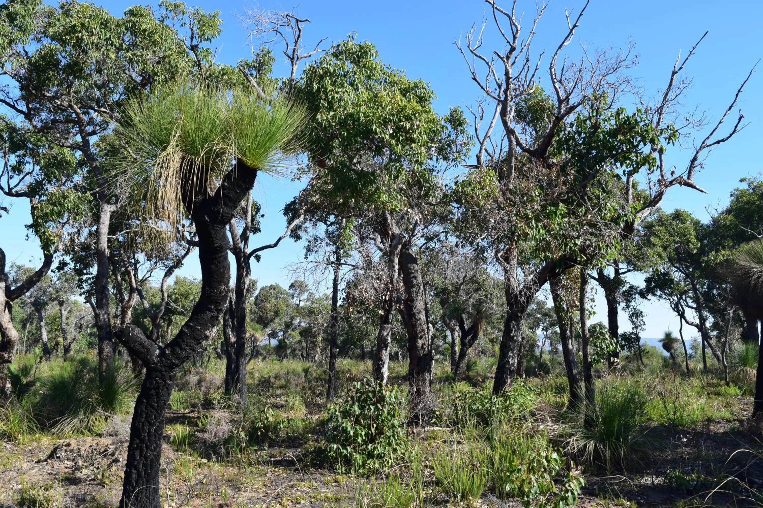 Natural landscape in Eagle Bay House
