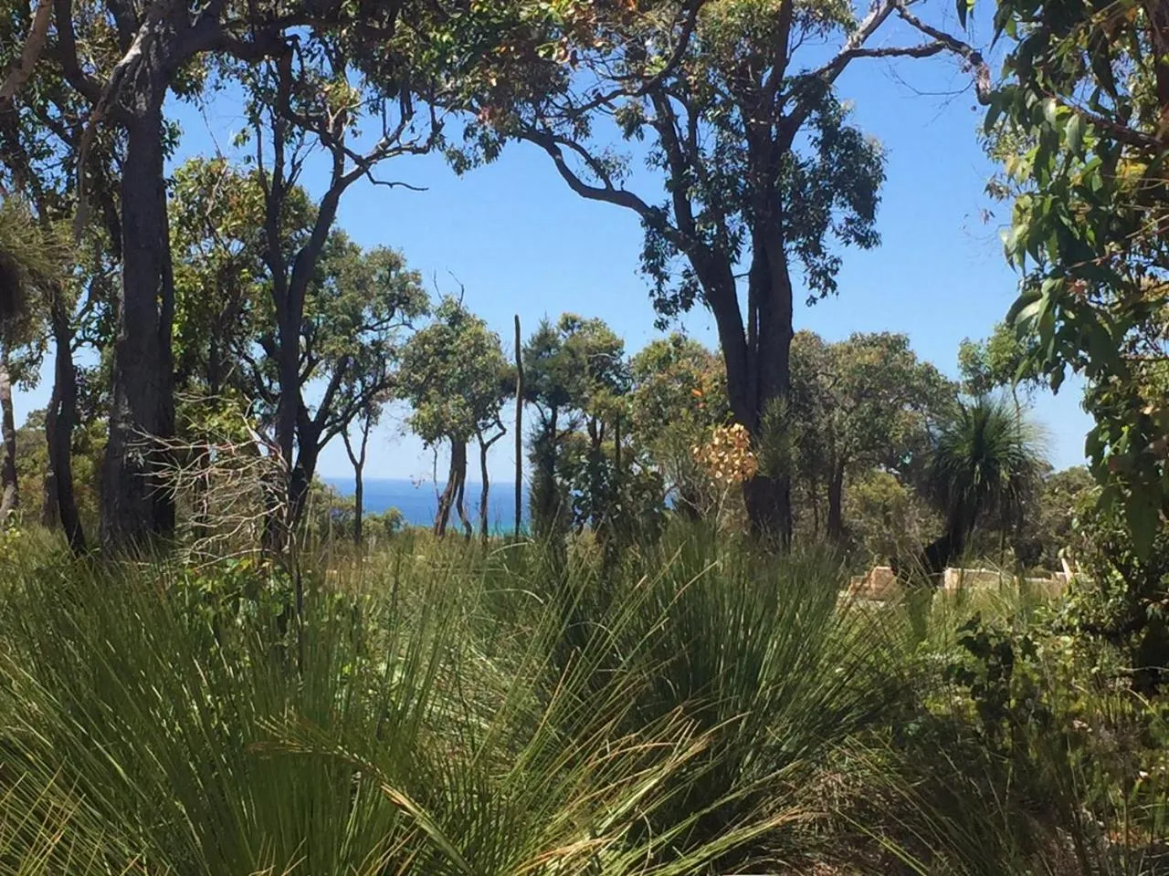 Natural landscape in Eagle Bay House