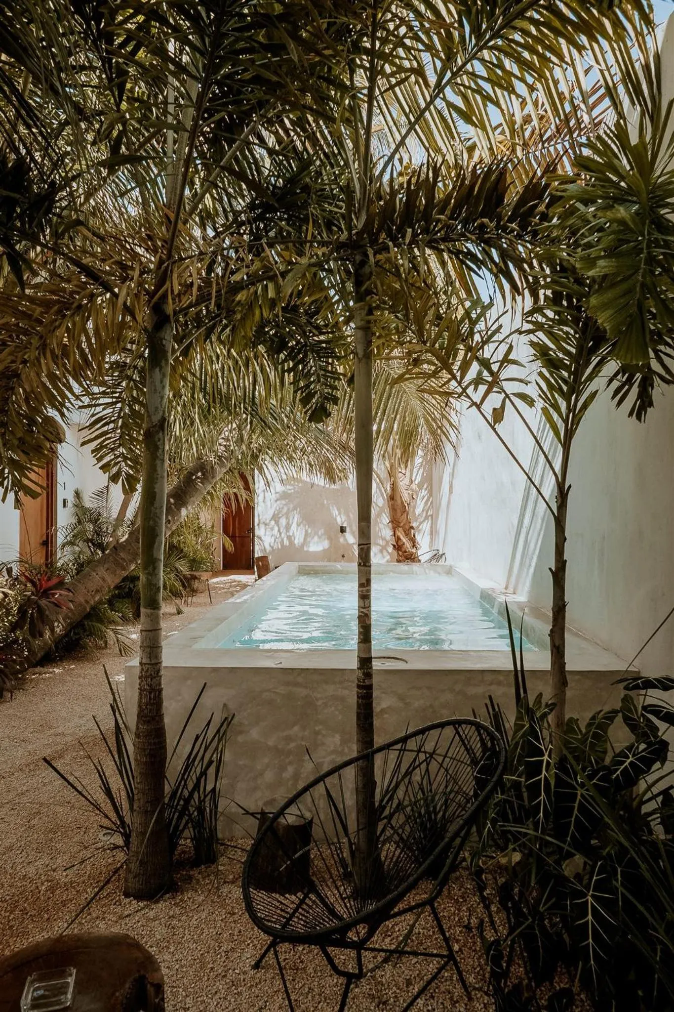 Swimming pool in Apartments & Suites MADRE Holbox Self-Check IN