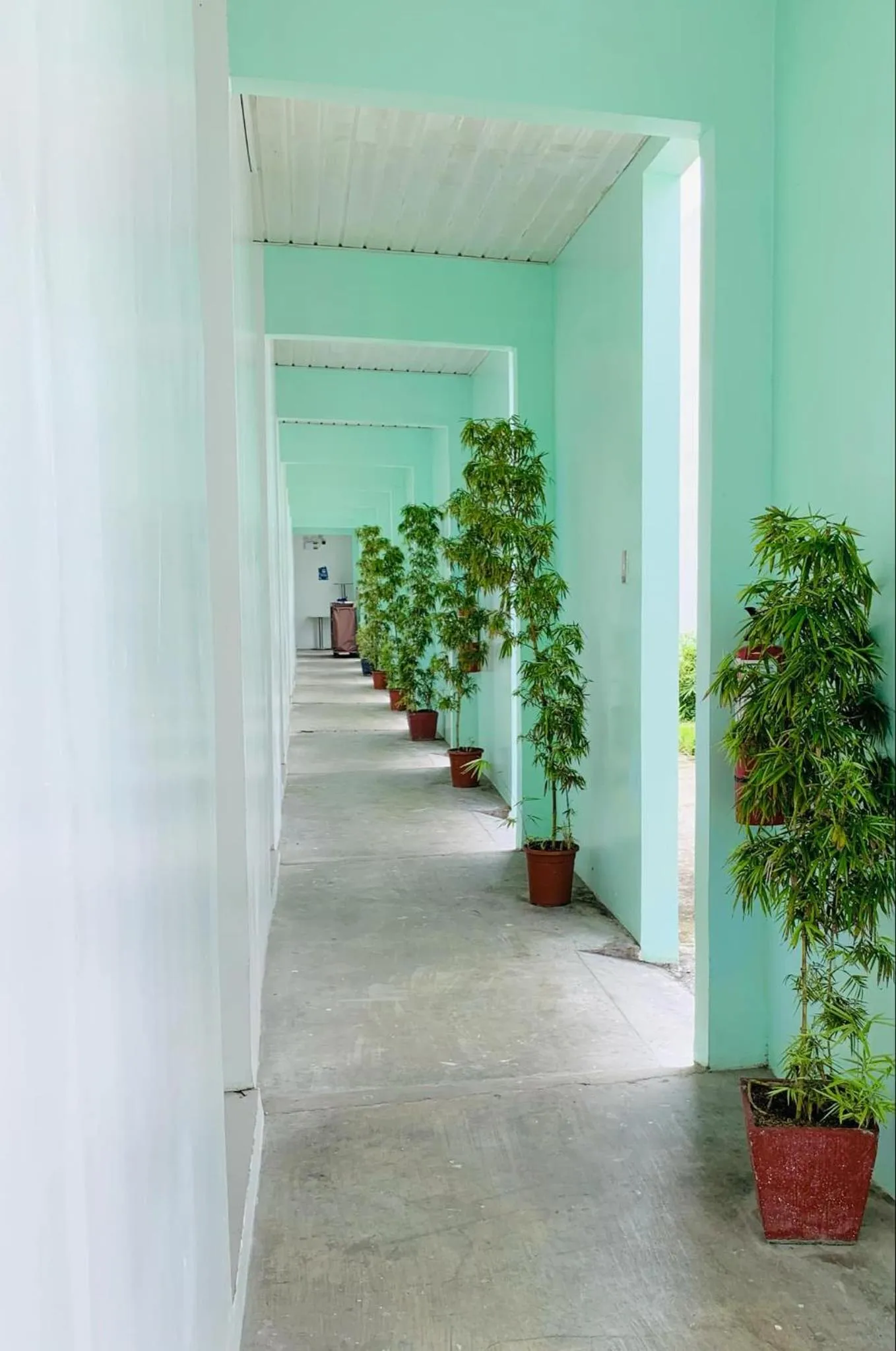 Property building in Kojõ Hotel Tagum