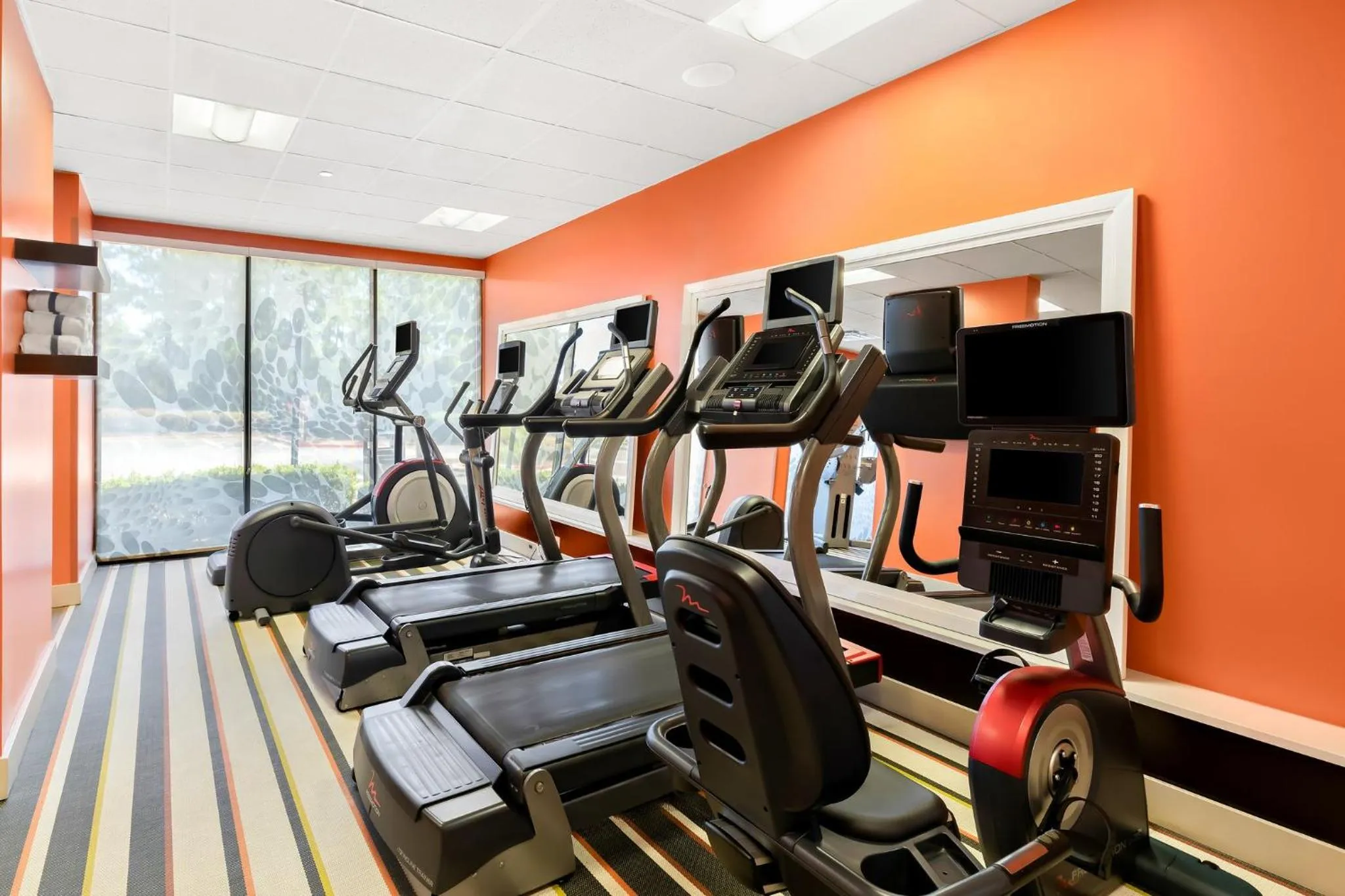 Fitness centre/facilities in Holiday Inn Express Atlanta Galleria-Ballpark Area by IHG