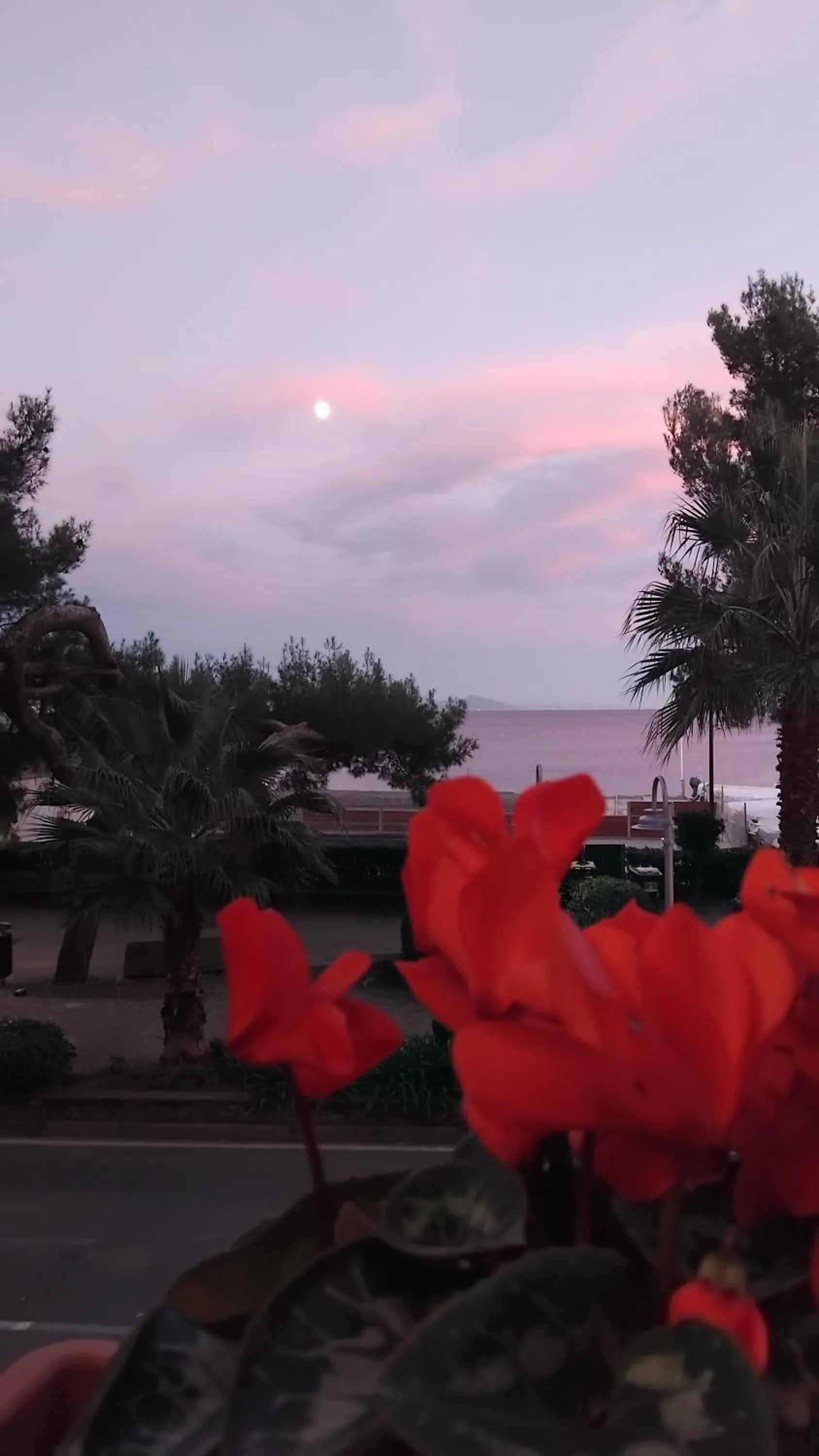 Natural landscape in Hotel Serena