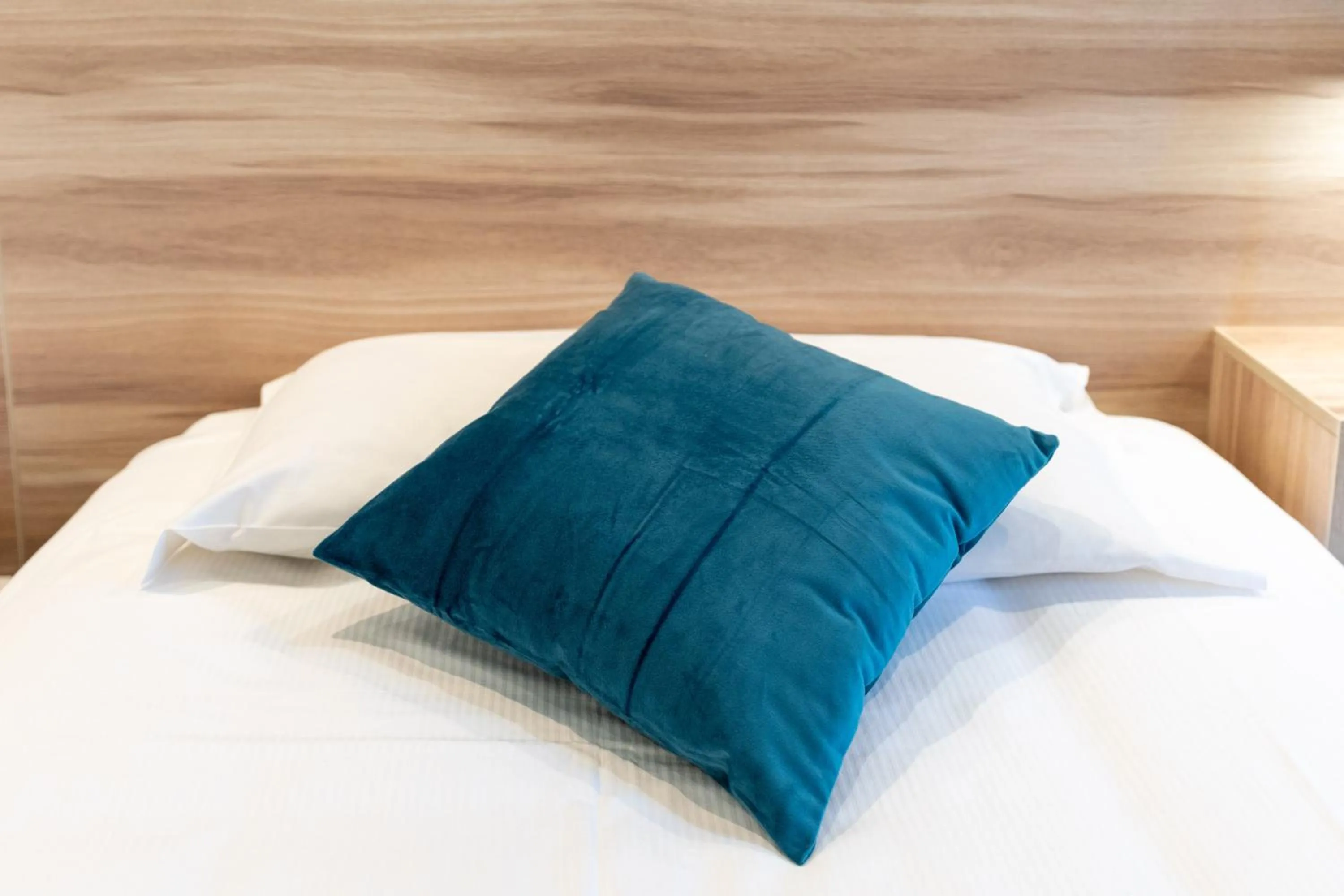 Drago D'Oro GUESTHOUSE - accross from metro Vittorio Emanuele