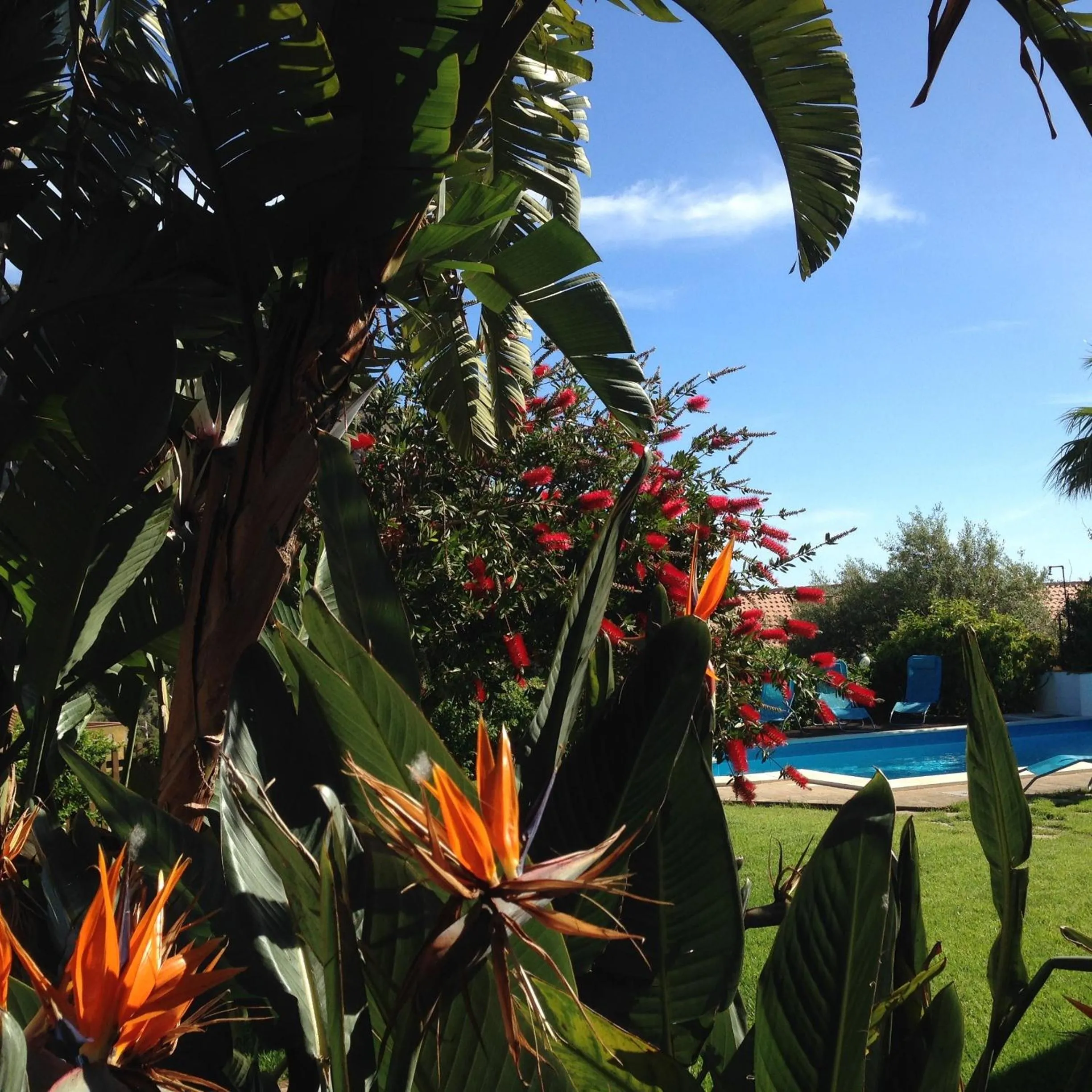 Decorative detail in B&B Villa Di Giorgi