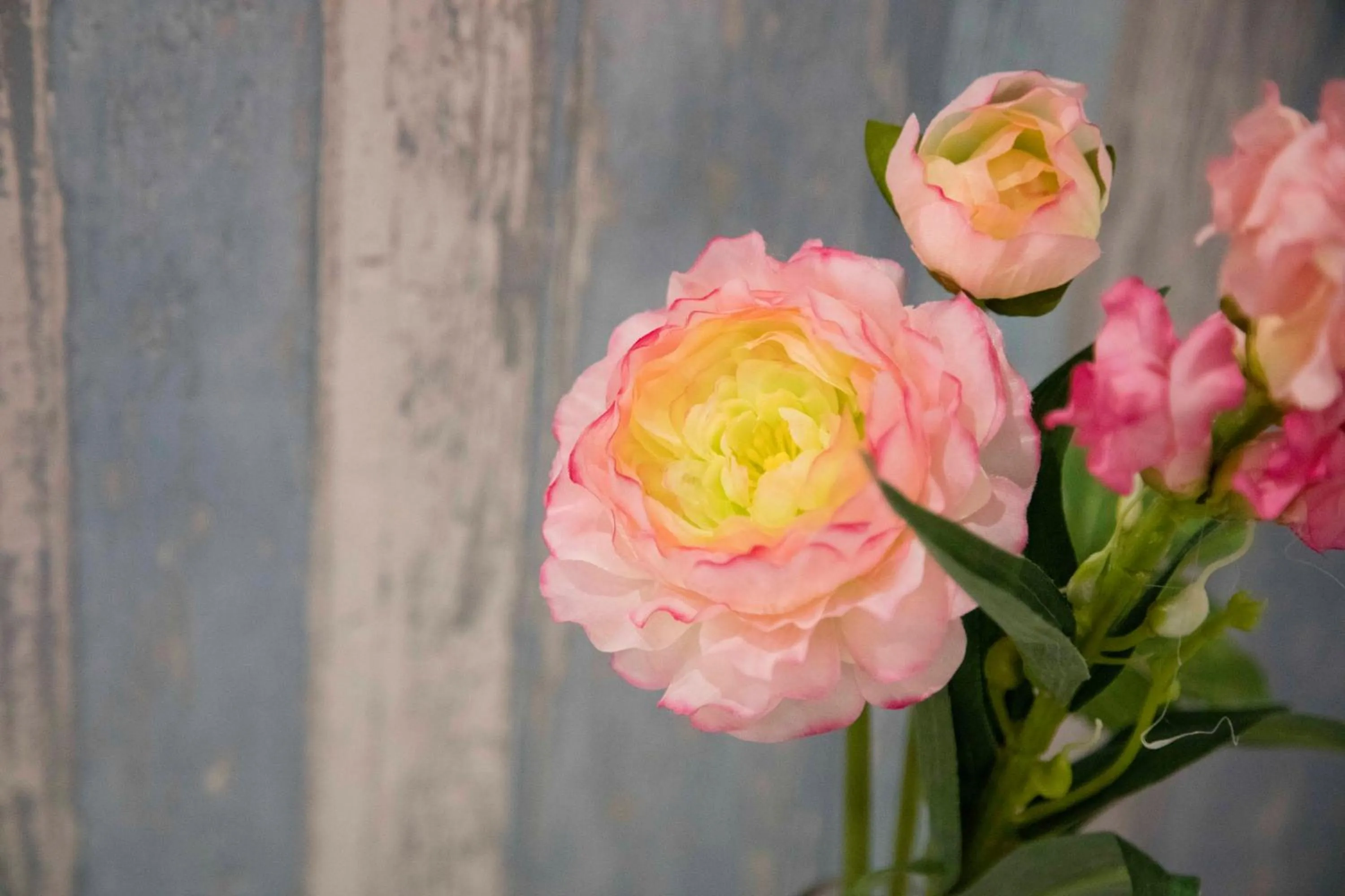 Decorative detail in B&B Villa Di Giorgi