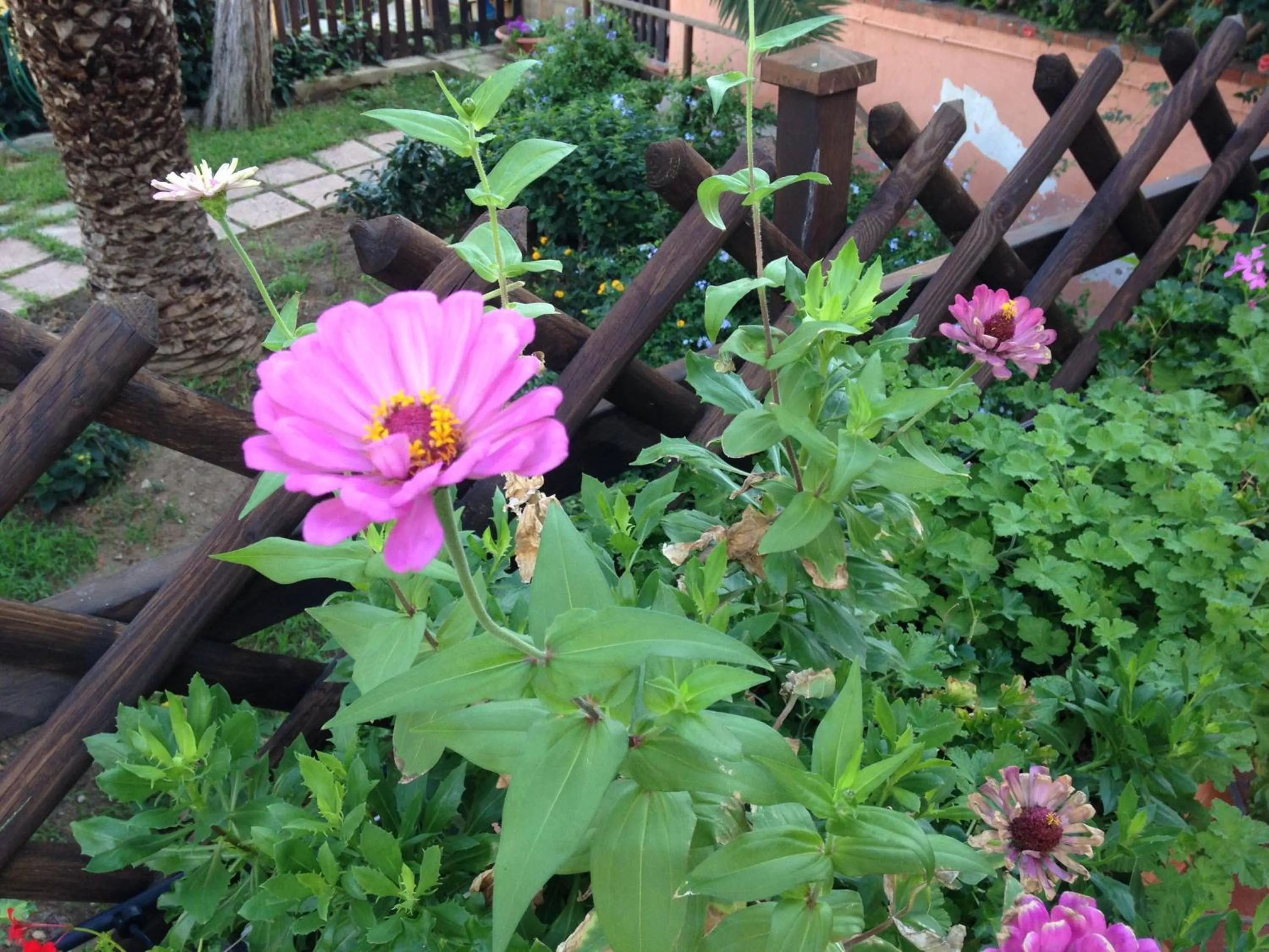 Garden in B&B Villa Di Giorgi