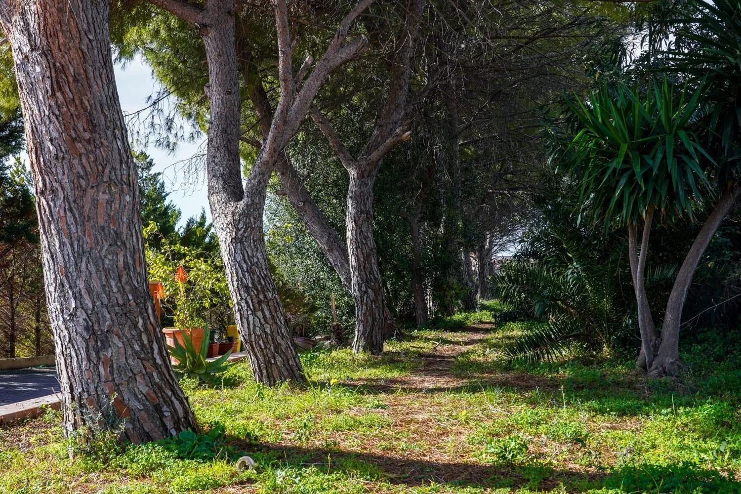 Spring in Motel - Hotel Nautico Pozzallo