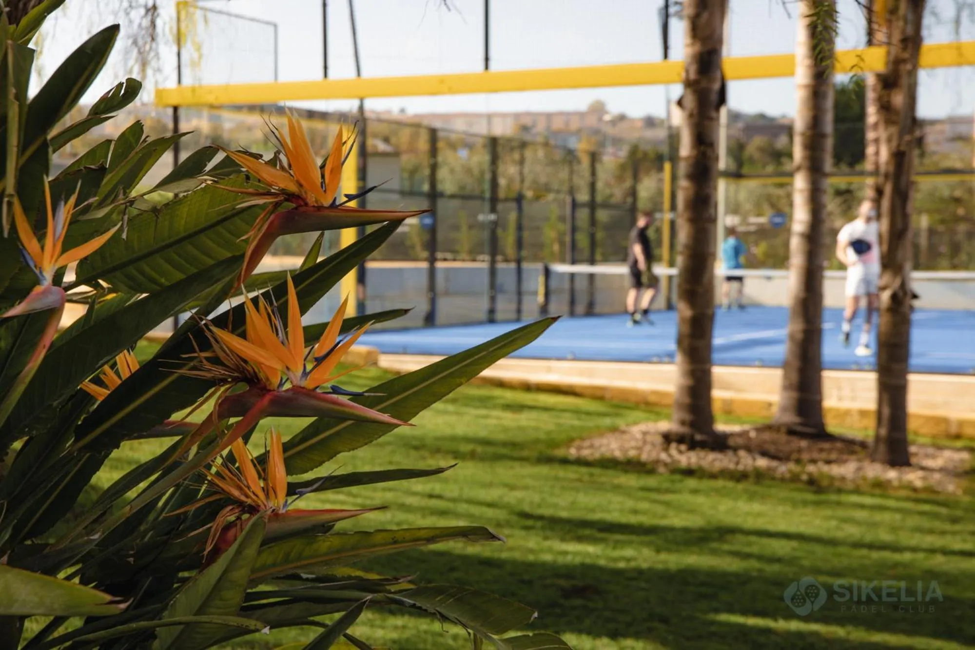 Garden in B&B Villa Seta