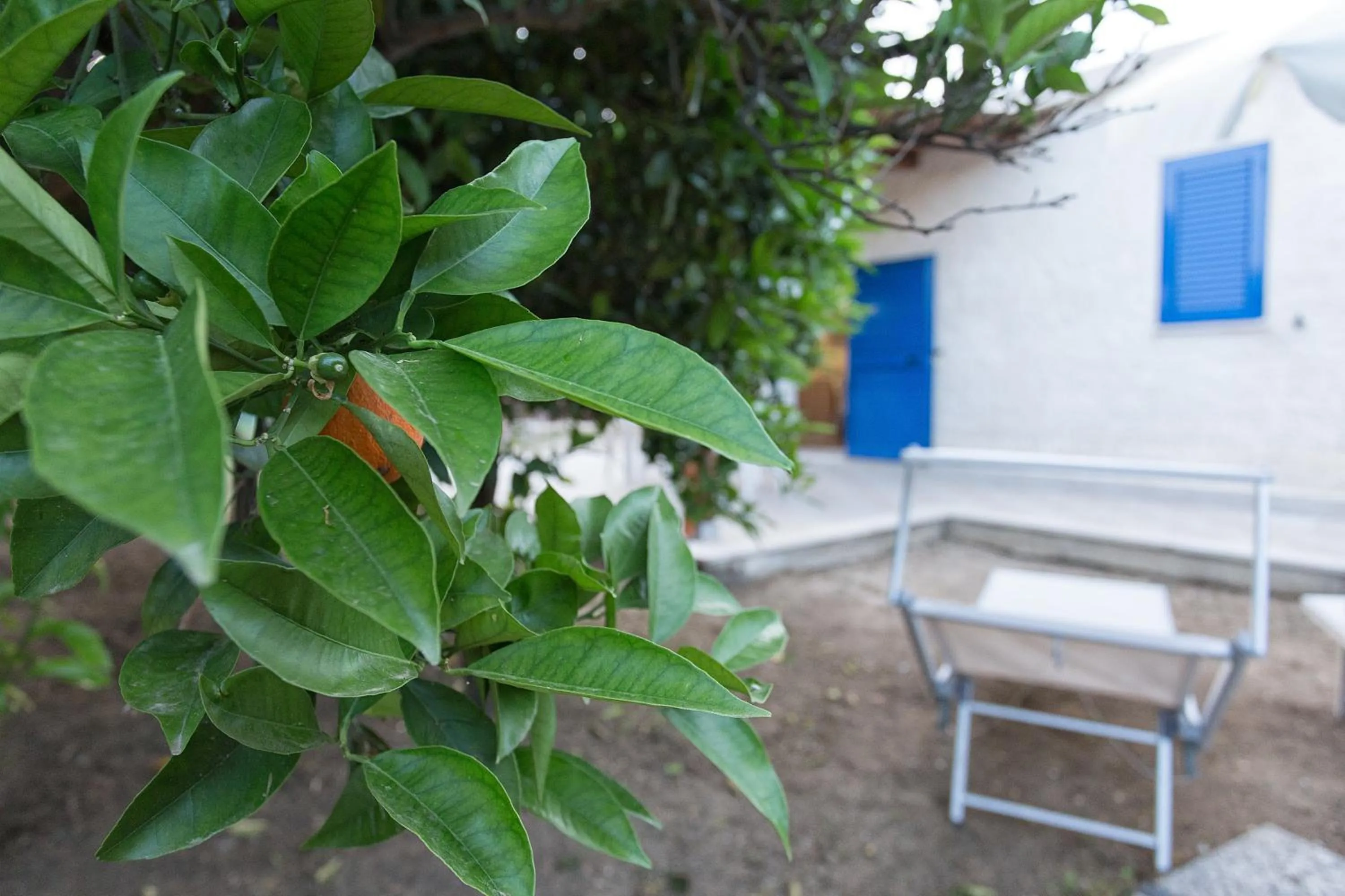 Patio in B&B Villa Seta