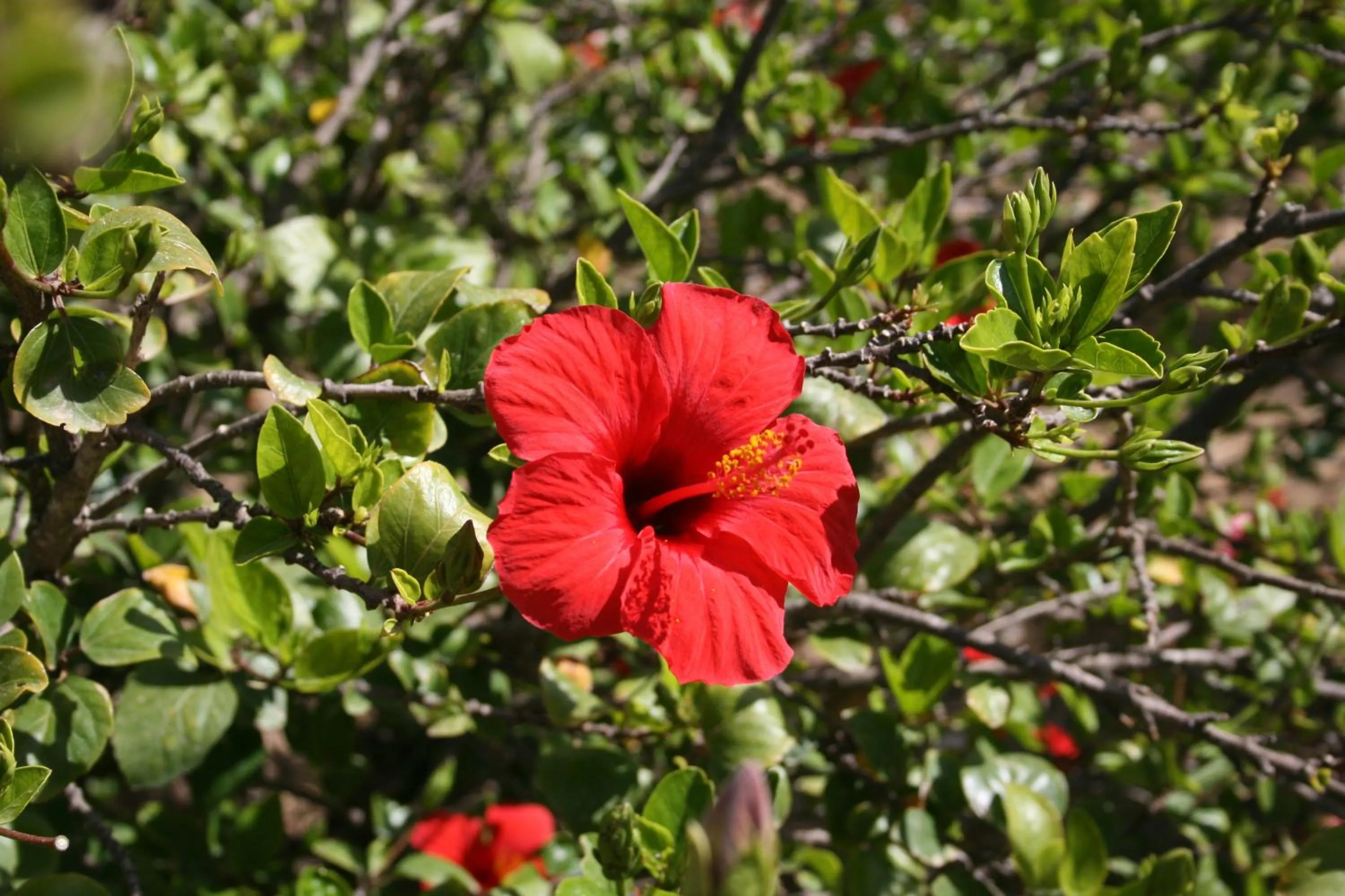 Other in Residence Punta Longa