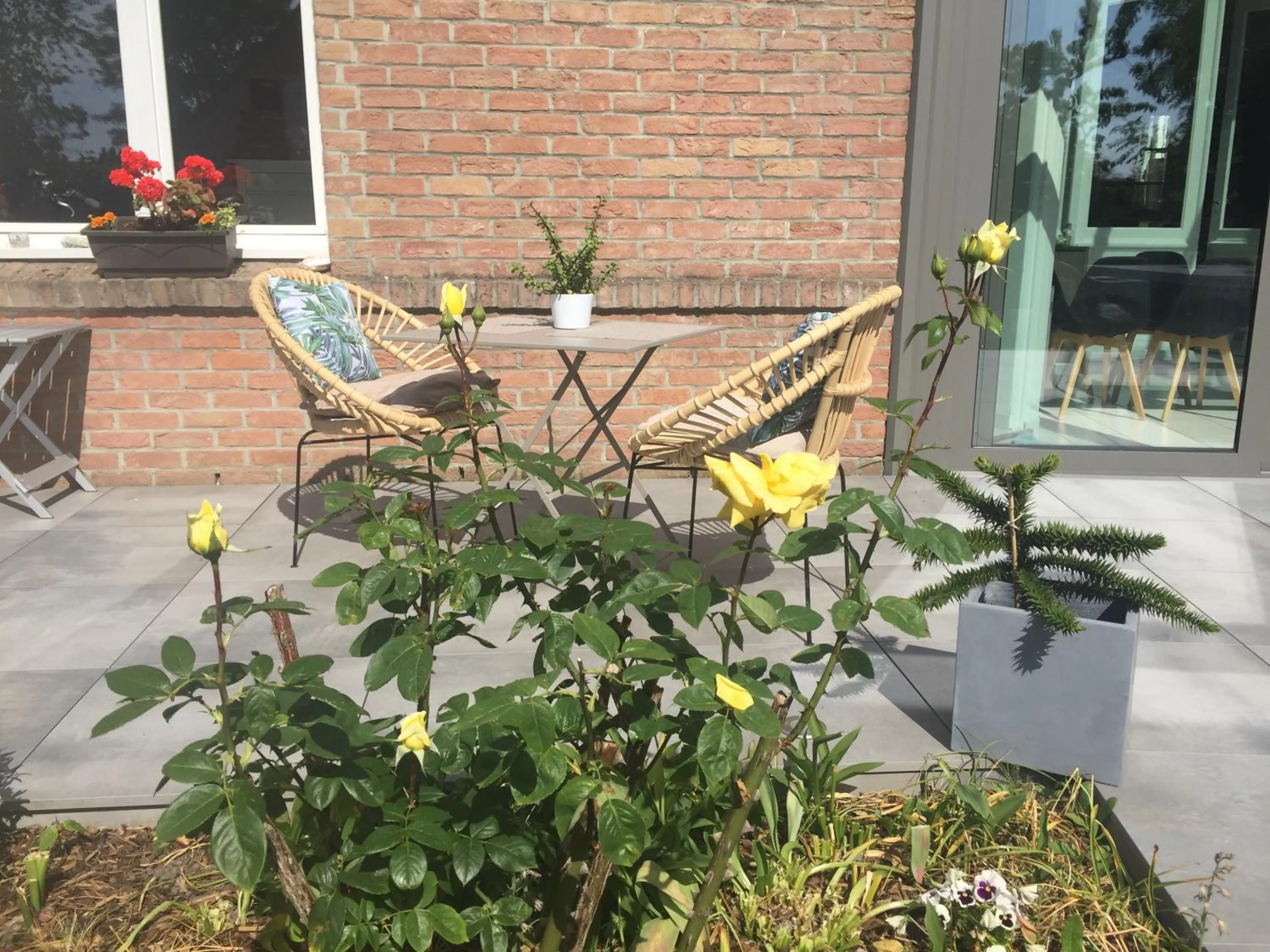 Patio in LA NIEPPOISE