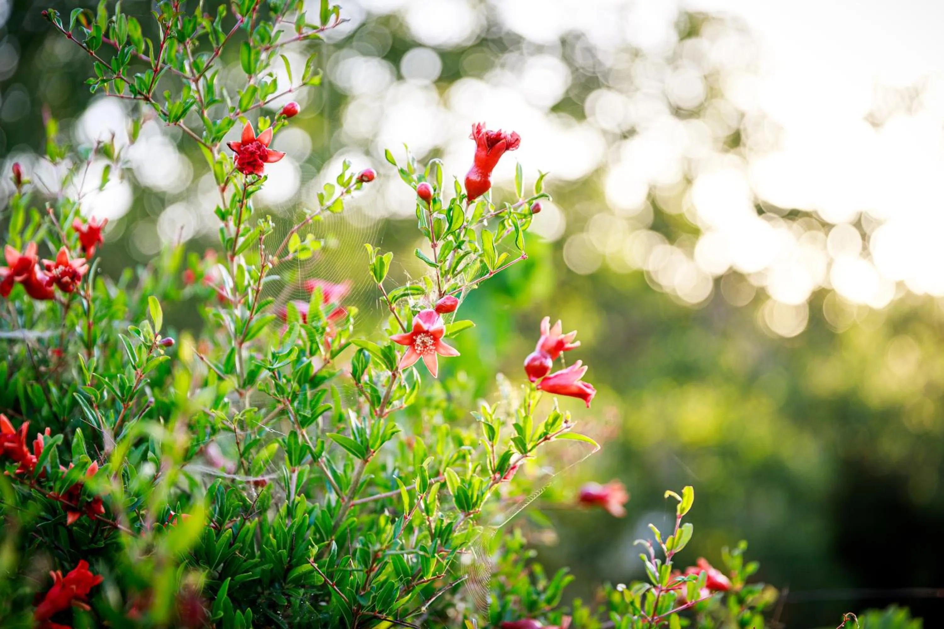 Property building in B&B Mandorla Amara