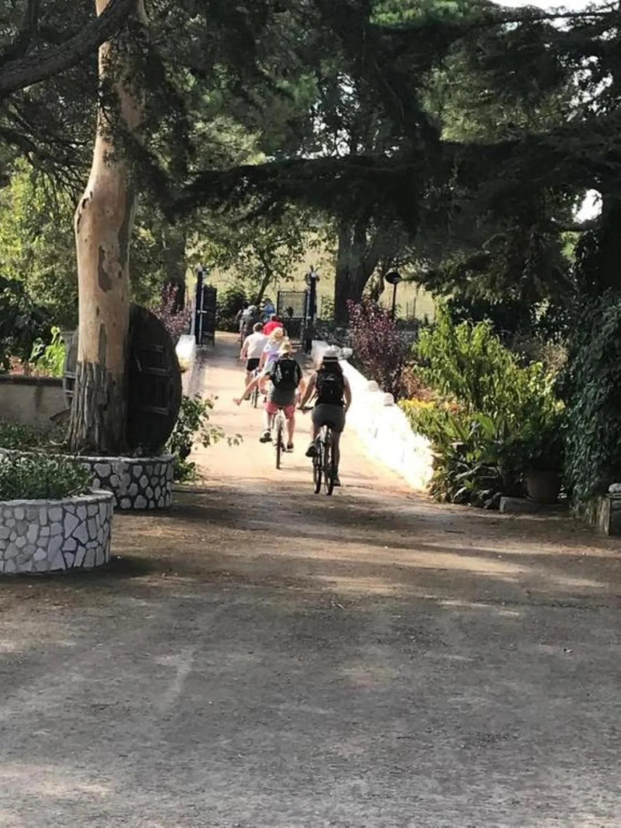 Property building in B&B Mandorla Amara