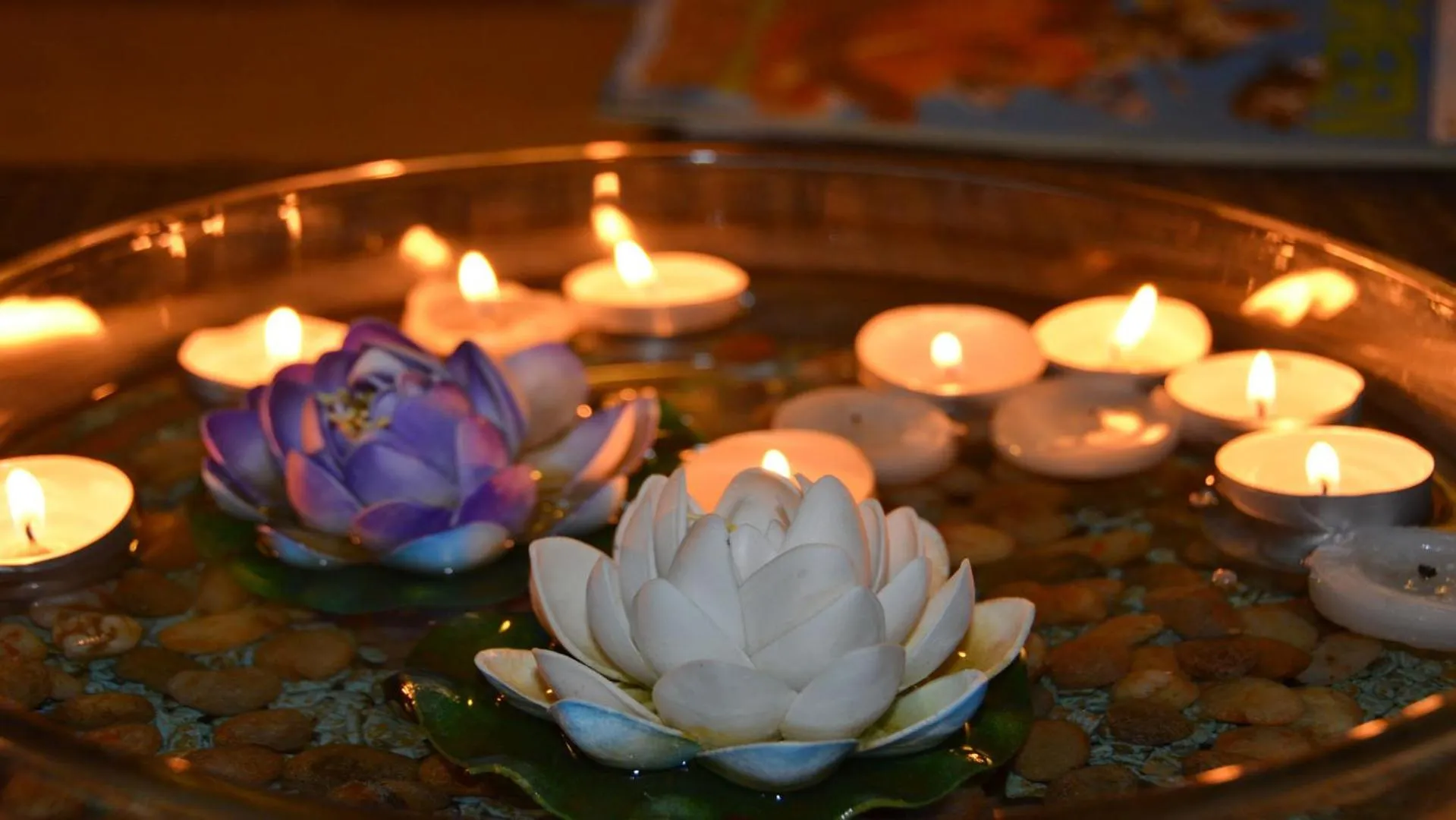 Lobby or reception in Hotel A-14