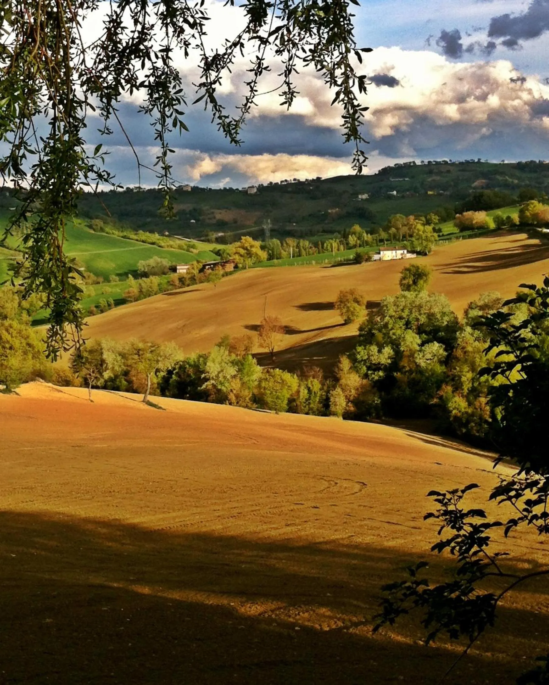 Natural landscape in Il Nascondiglio - The Hideaway