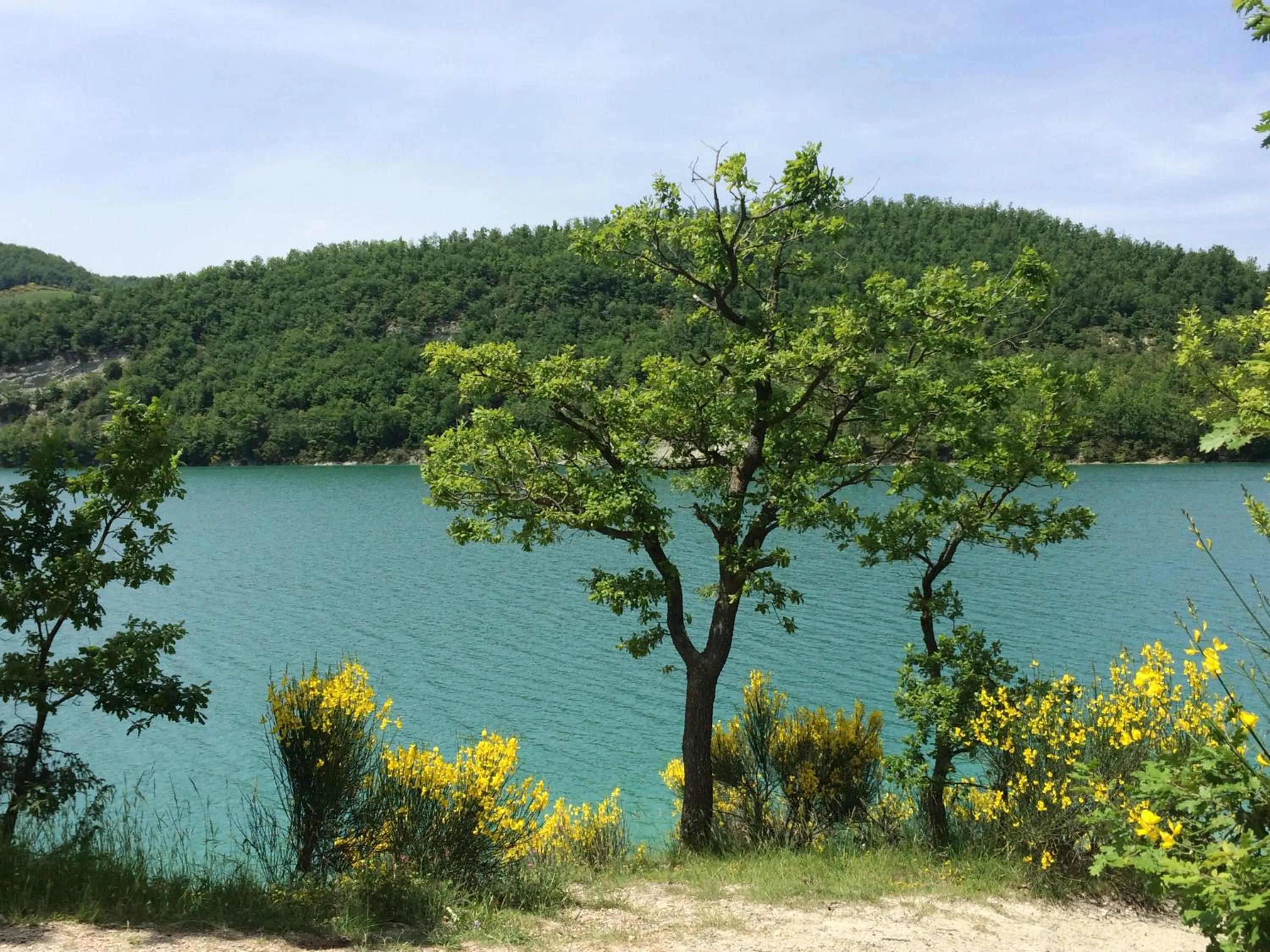 Natural landscape in Il Nascondiglio - The Hideaway