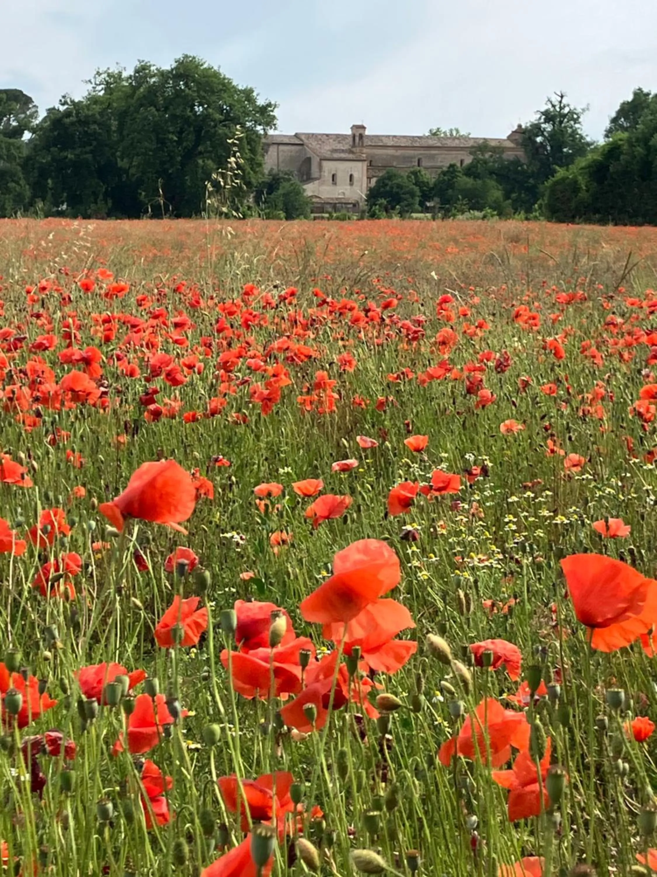 Nearby landmark in Il Nascondiglio - The Hideaway